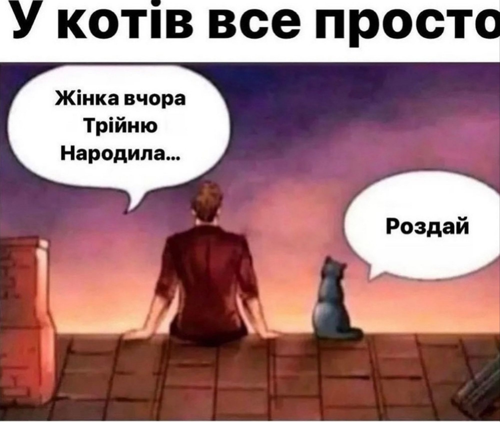 У котів усе просто