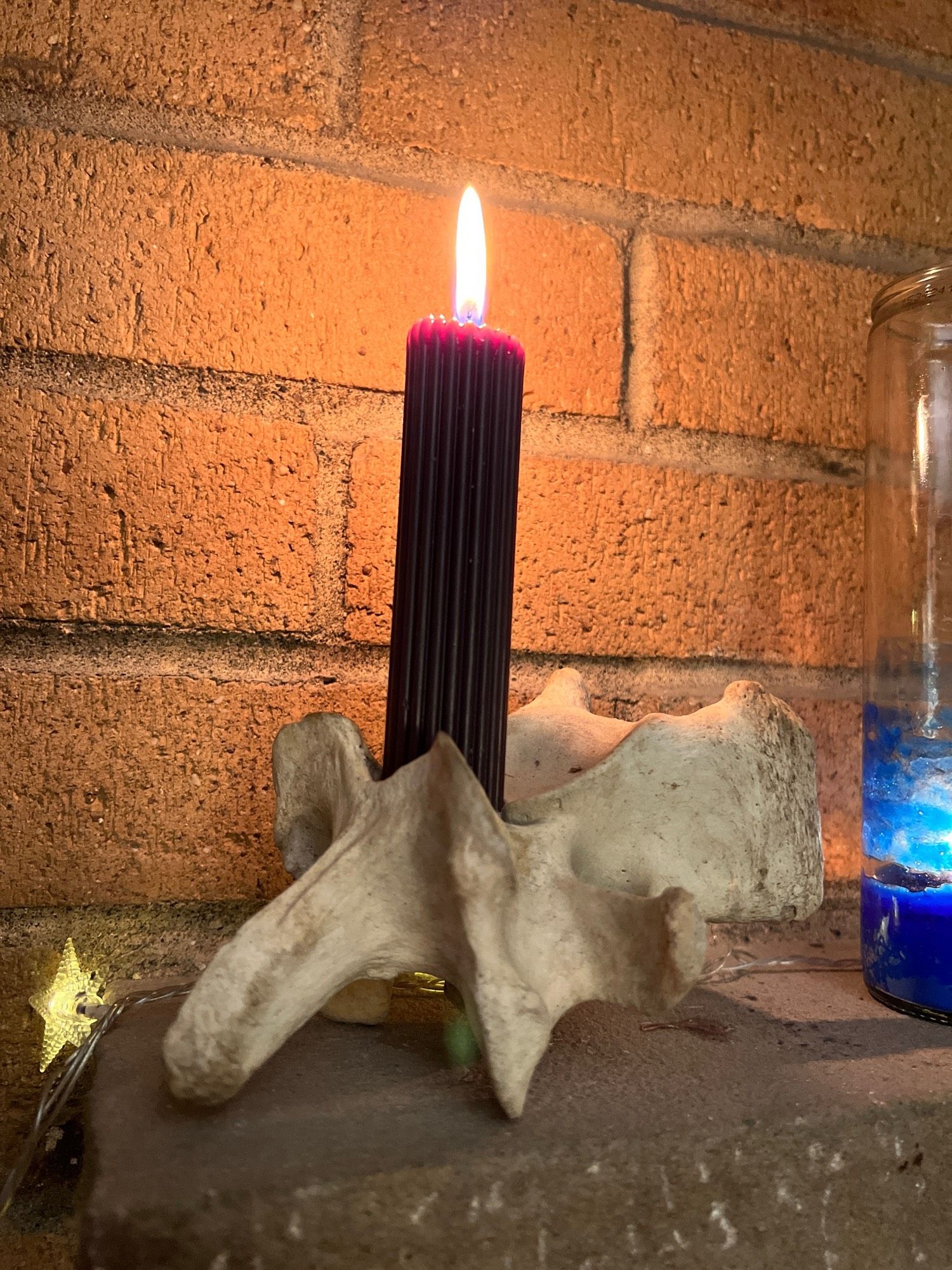 A purple taper candle held in a large aged vertebrae against a brick wall