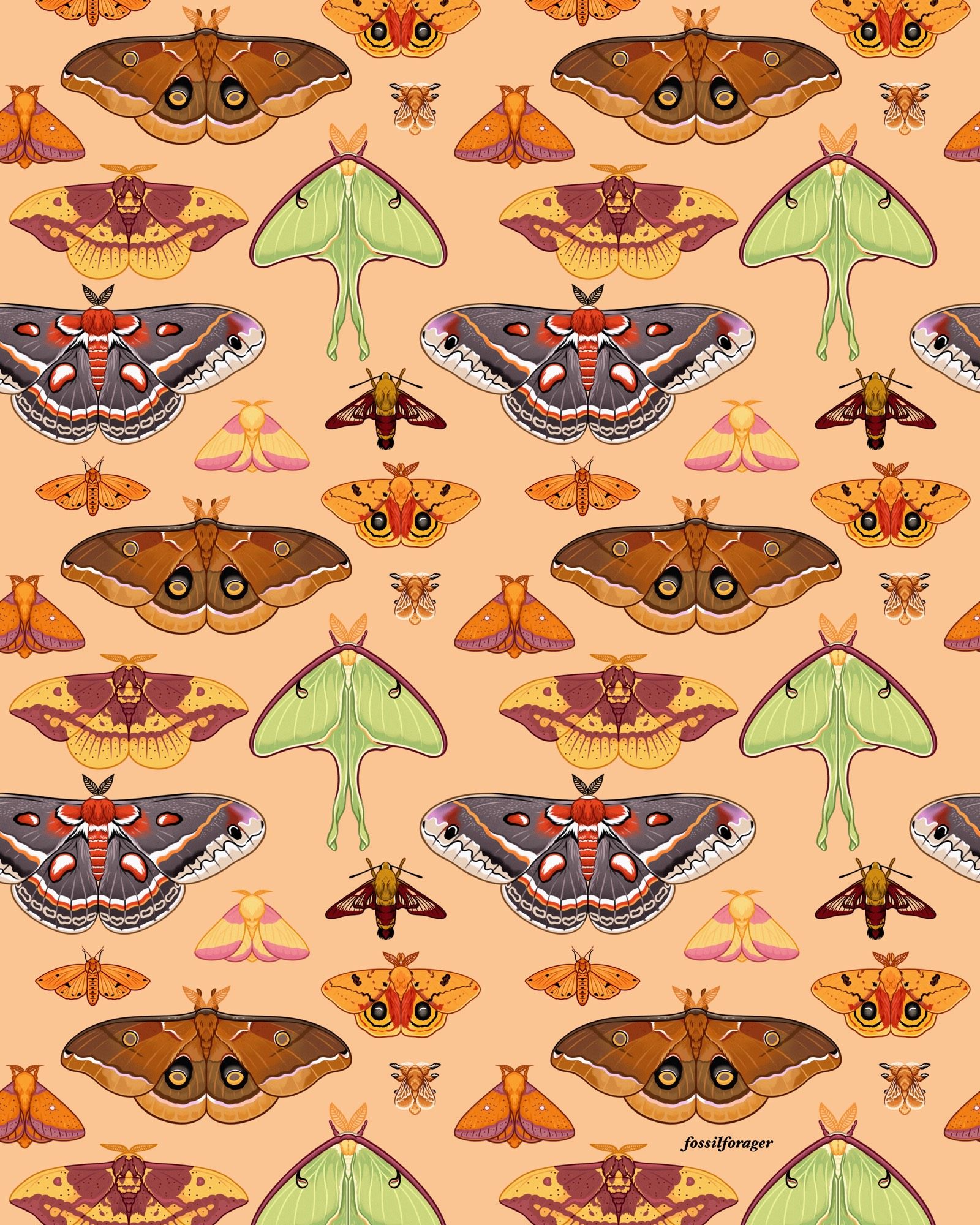 An illustrated pattern featuring repeating North American moth species on a light yellow background.