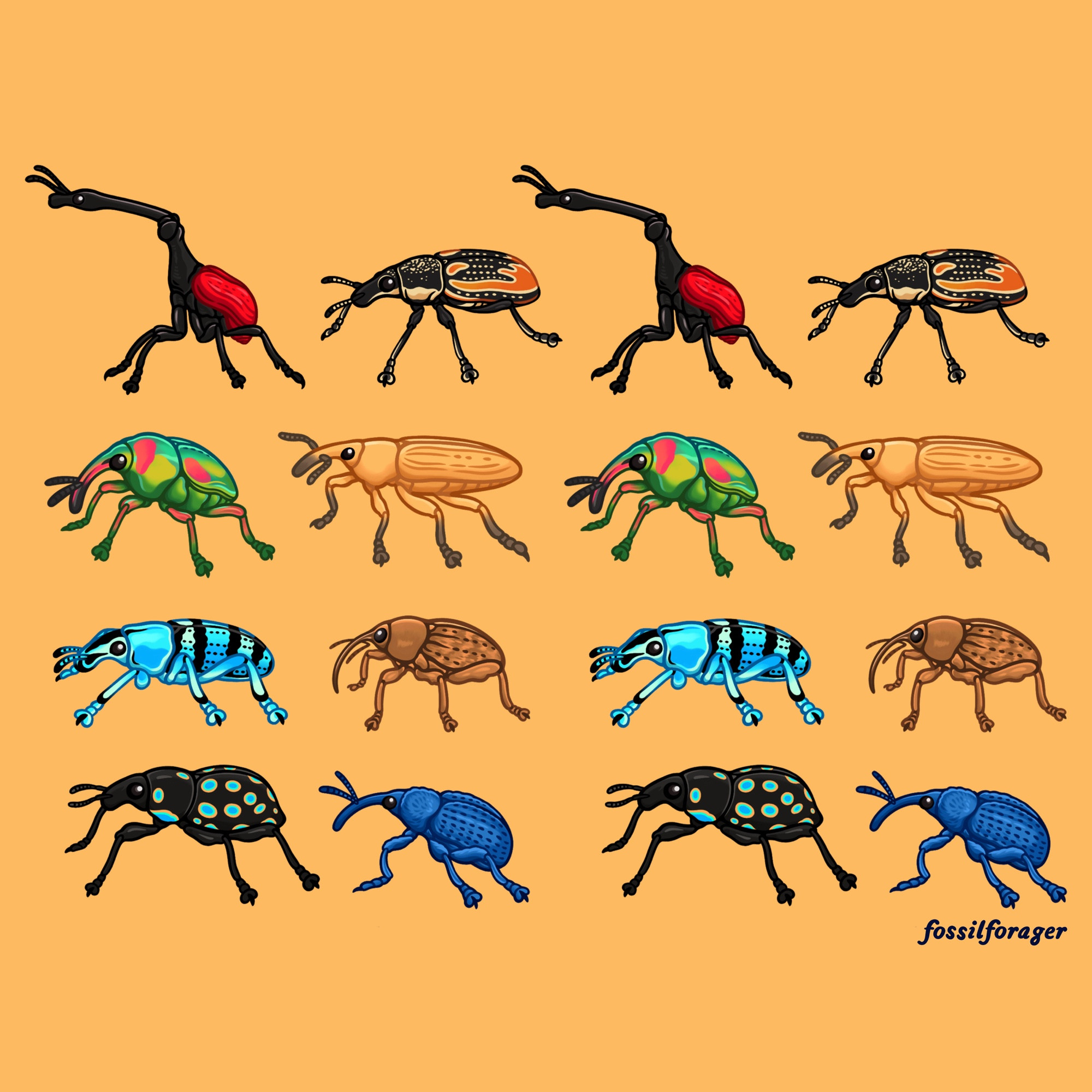 An illustration featuring 8 species of weevils against a bright golden yellow background. The weevils are beetles with long snouts and are drawn to be tiny. Top row: giraffe weevil, citrus root weevil. Second row: jewel weevil, rhubarb curculio. Third row: schoenherr’s blue weevil, acorn weevil. Fourth row: clown weevil, blue leaf rolling weevil.