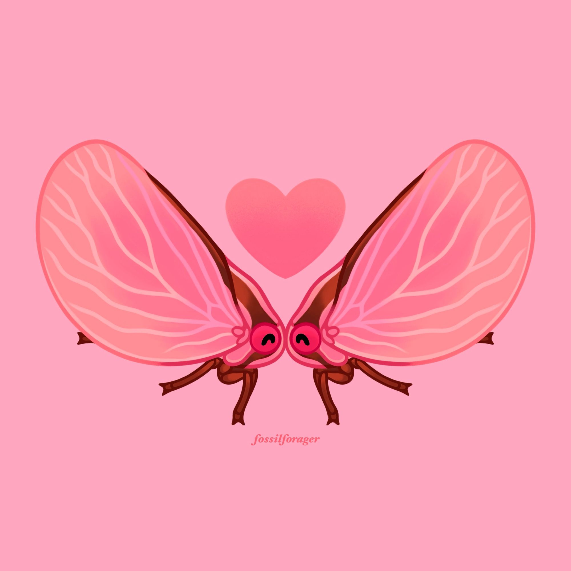 An illustration of two pink plant hoppers (Acanalonia bivittata) with their heads touching each other. They have bright pink bodies and brown legs. There is a large pink heart above them. The background is a light pink.