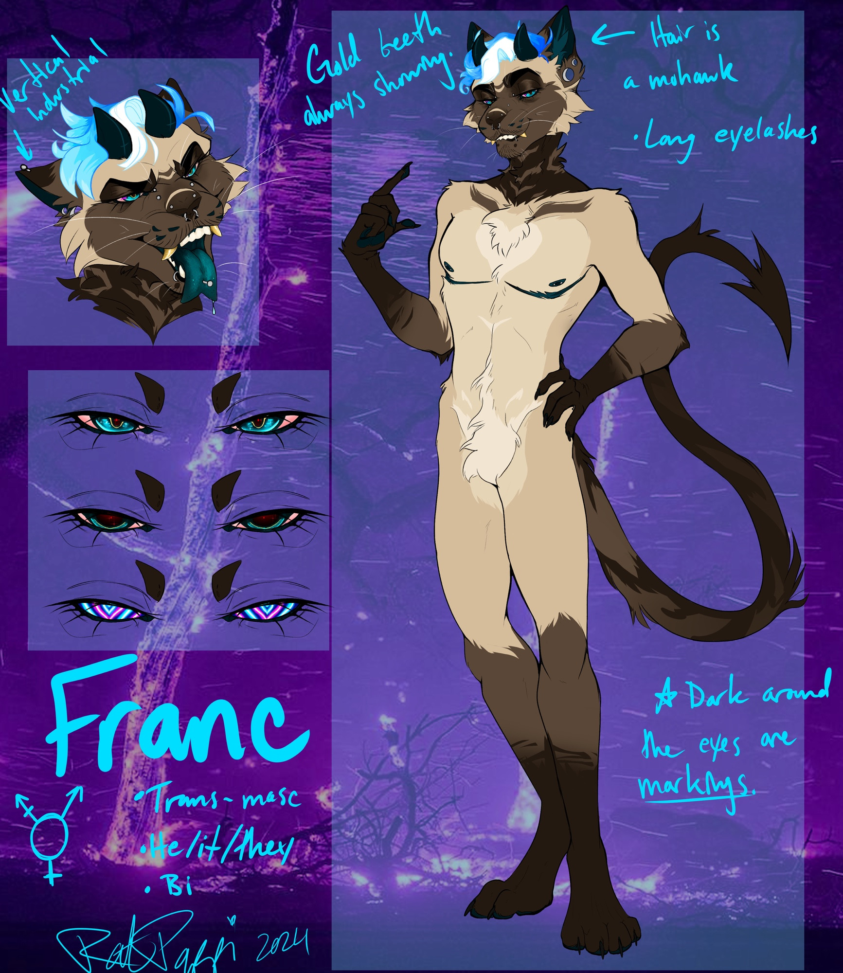 Half of a ref sheet with purple a background and bright light blue text. Upper left is a Siamese cat headshot with horns and golden fangs with his pierced and forked tongue out. He has blue hair with a white streak and minor striping on his dark points. His tail is pointed devilishly at the tip. Left side of the image also has 3 references of different eyes he can have. From top to bottom: normal small pupils - blue eyes with red-tinted sclera like an intoxicated individual. Eyes with very large pupils with a subtle red center and around the pupil is a thin blue iris. Bottom set of eyes are hypnotic hearts in cyan, magenta, and white with a dark blue almost black backing. All have long lashes 
Bottom text: Franc (Francoeur), trans-masc, he/it/they, bi 