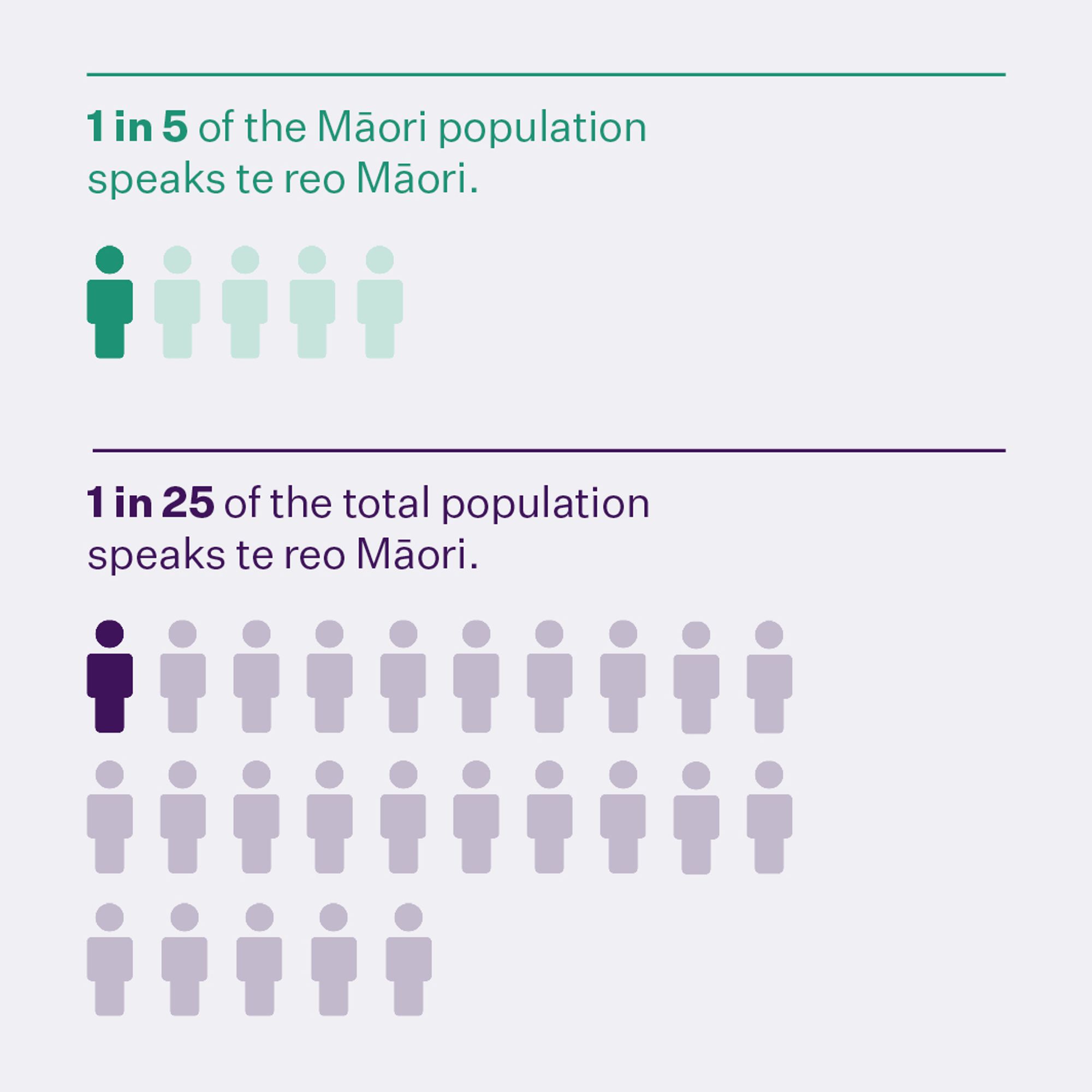 1 in 5 of the Māori population speaks te reo Māori. 1 in 25 of the total population speaks te reo Māori.