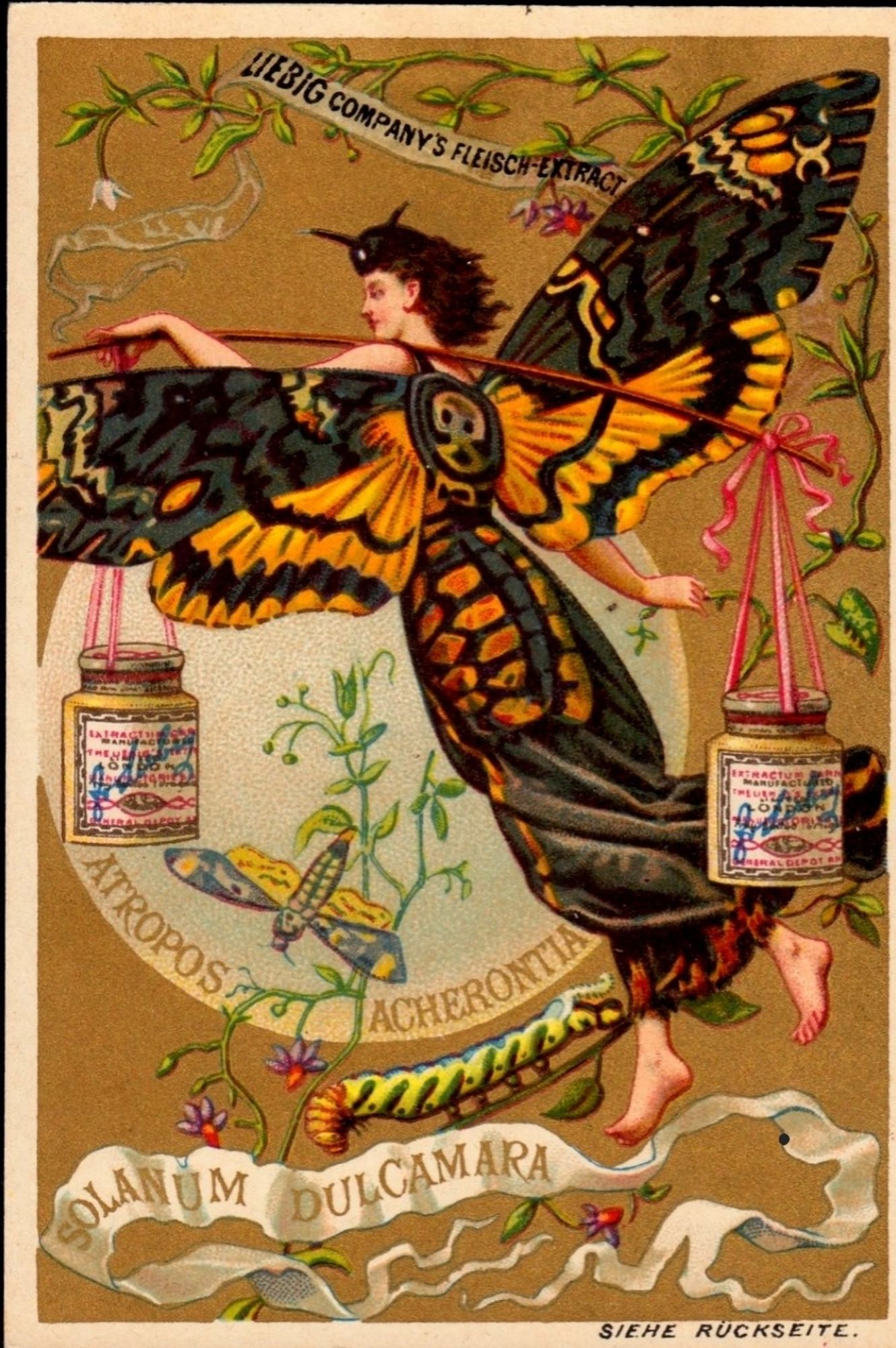 An old ad for stock depicting a woman wearing a dress and wings to look like a death's head moth. She has a long stick across her shoulder with two large jars of stock powder on each end