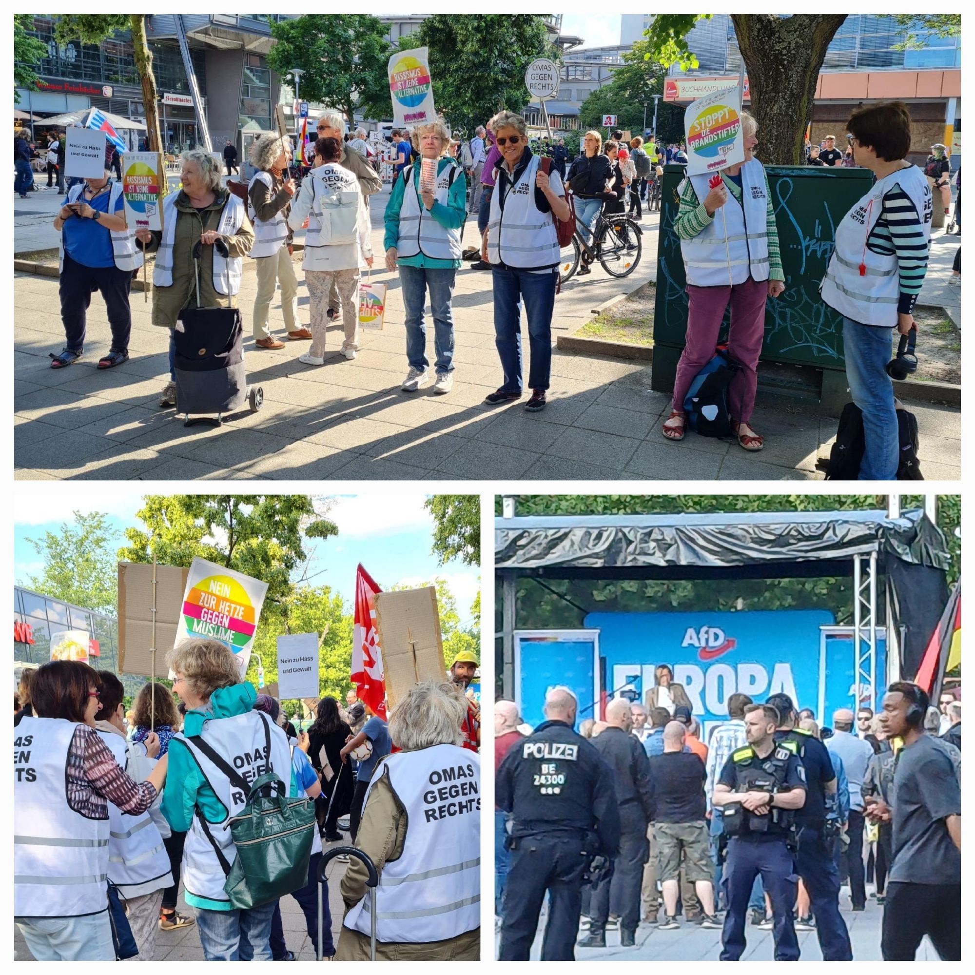 Fotocollage: 2 x grössere Oma-Gruppen mit Westen und Schildern bei Gegendemo sowie Rednerpult der AfD-Demo mit B. von Storch, dacmvor ein paar Anhänger und Polizei