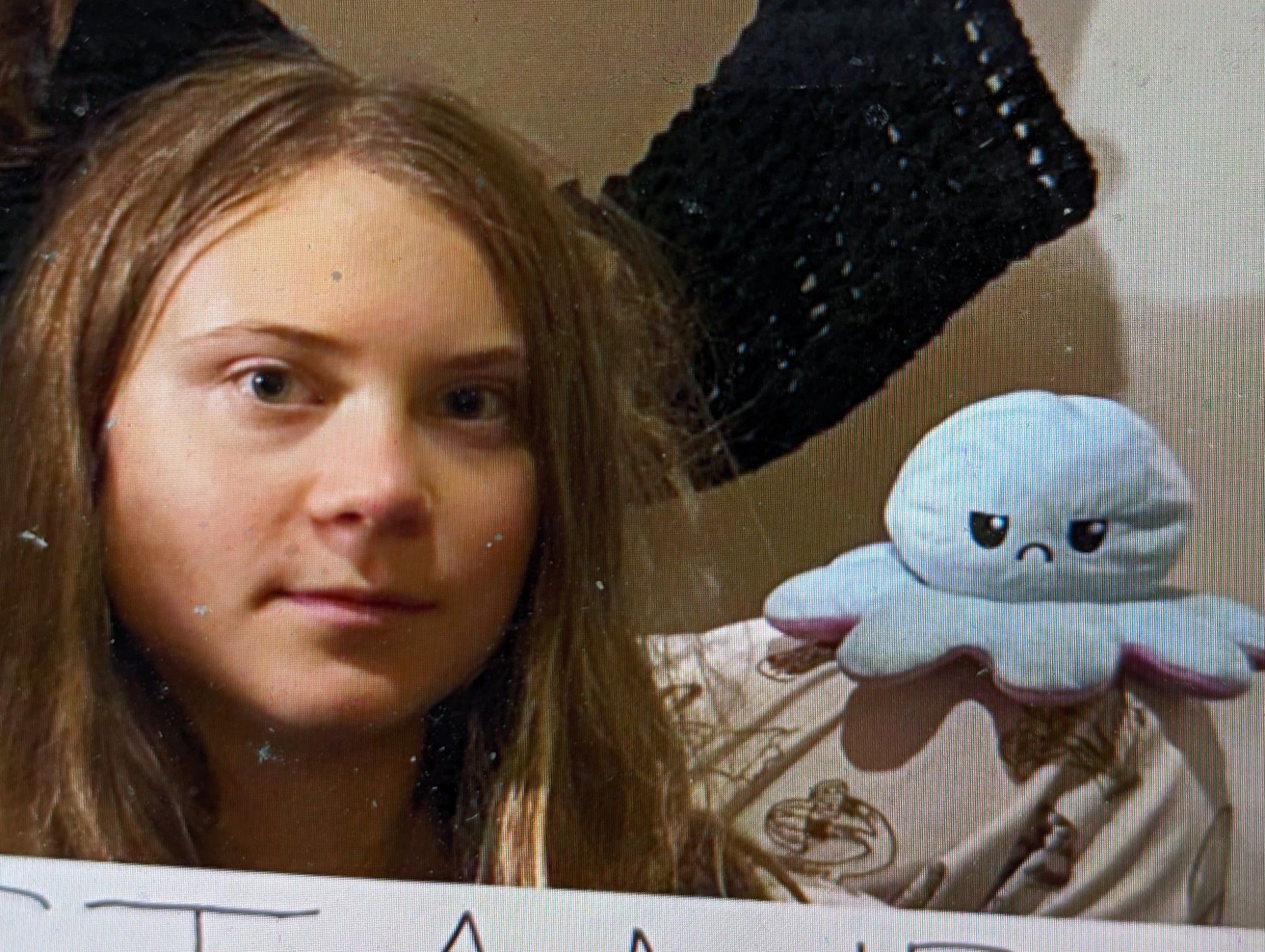 Greta Thunberg with her Octoplushy. The Octopus in plushy form shows the sad side.