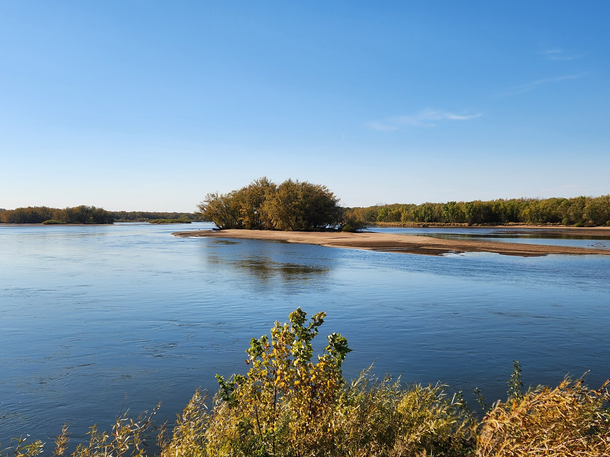 A wide section of the Wisconsin River from the top of a  levee with low water exposing sandbars extending from a forested island