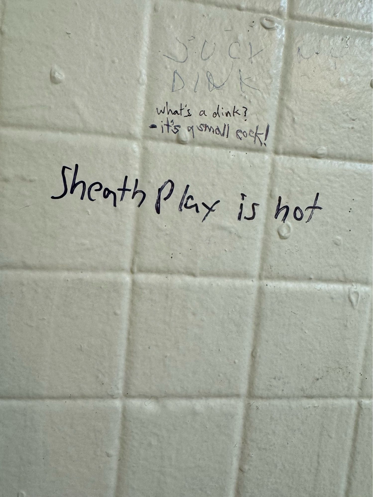 Wall graffiti: “SUCK DINK
What's a dink?
- it's small cock!
SheathPlay is hot”