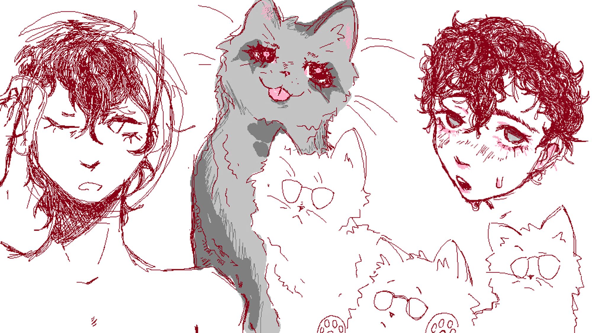 mostly joker cat and post shower joker