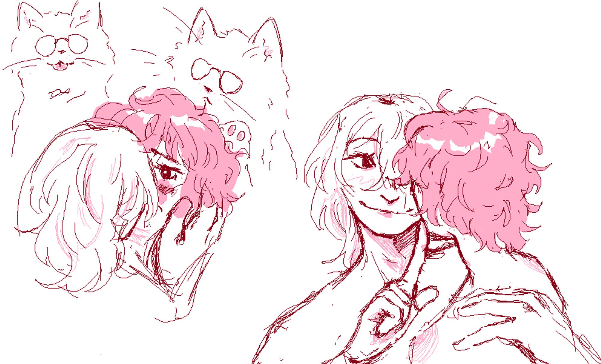 akeshu kiss + joker cat