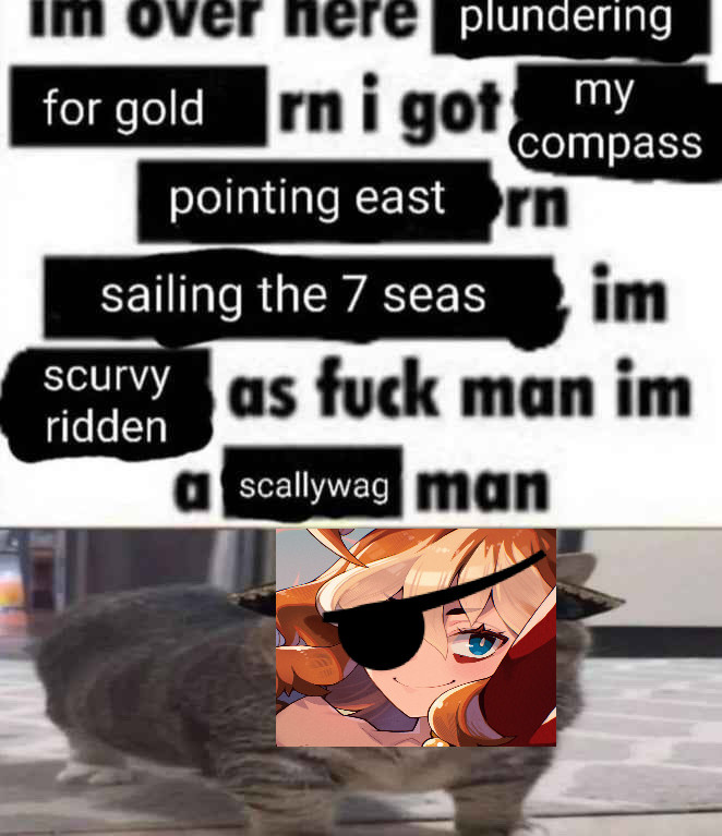 The sentence “I’m over here plundering for gold rn I got my compass pointing east rn sailing the 7 seas im scurvy ridden as fuck man” above a cat with 8onfire’s profile picture wearing an eye patch poorly edited onto their face