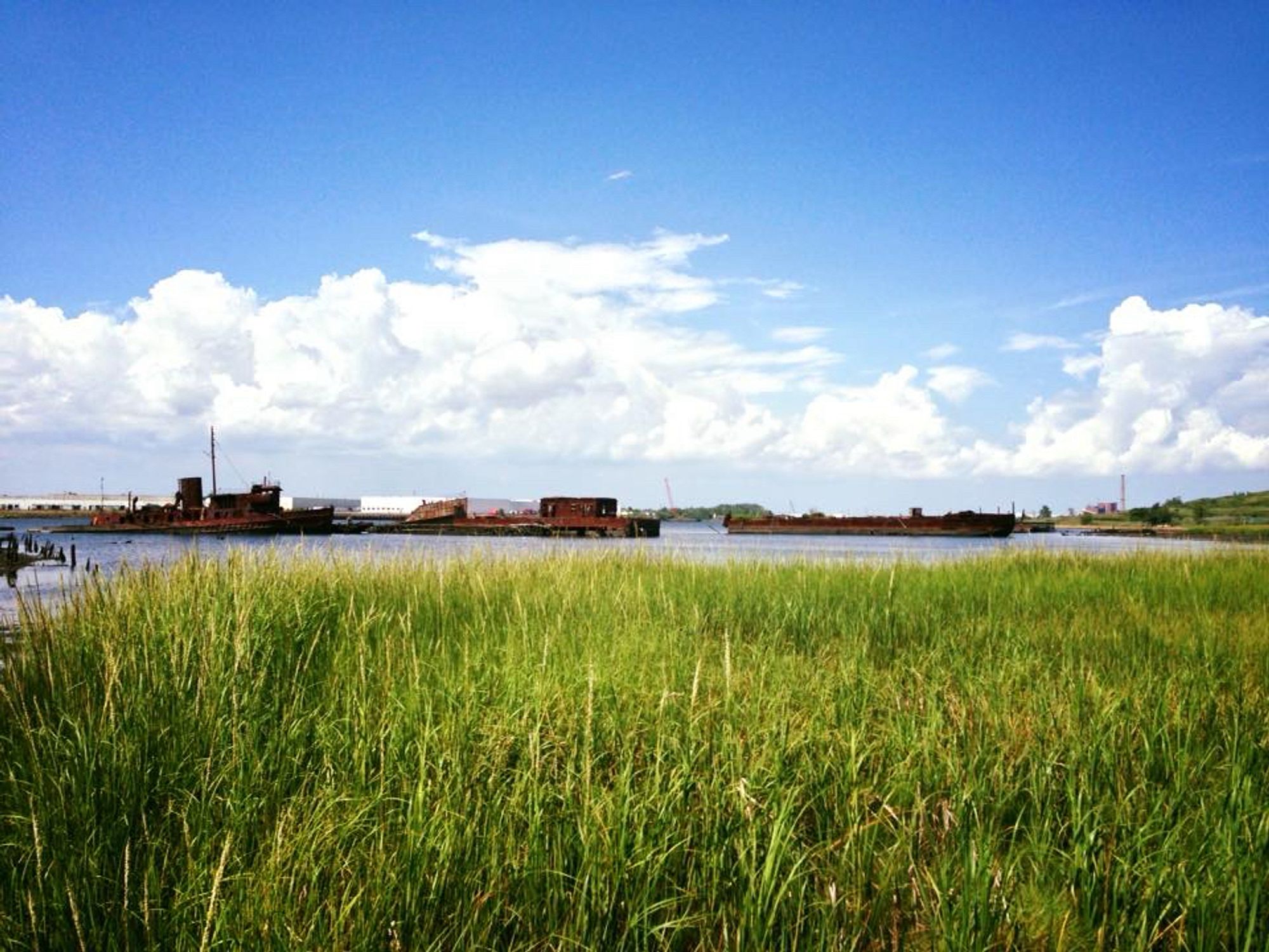 Blick auf den Schiffsfriedhof auf Staten Island, New York. Verrostete Wracks liegen im Wasser, im Vordergrund ist Sumpfland.