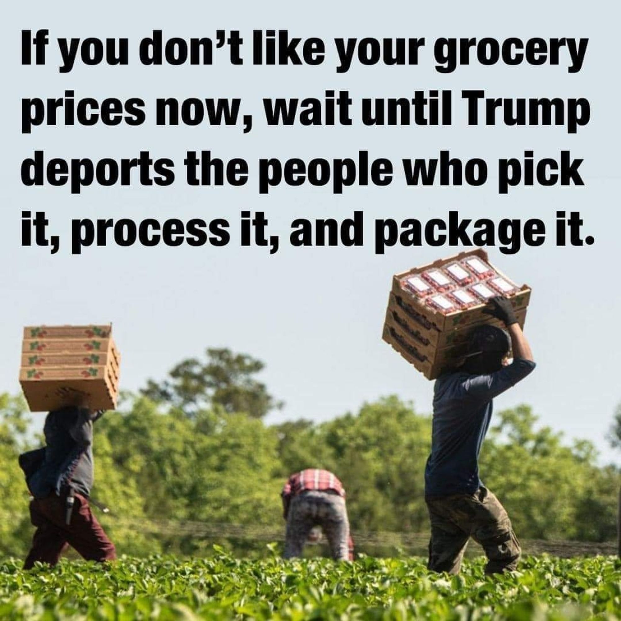 If you don't like your grocery prices now, wait until Trump deports the people who pick it, process it, and package it.