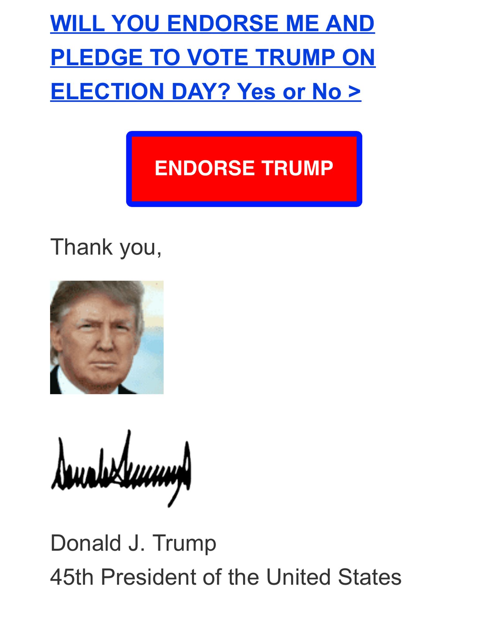 Un lien hypertexte façon Web 1.0 “WILL YOU ENDORSE ME AND PLEDGE TO VOTE FOR ME ON ELECTION DAY? Yes or No >”

Un autre bouton rouge et bleu avec écrit “ENDORSE TRUMP”

Signé Donald J. Trump, 45th President of the United States (avec une vignette basse qualité avec la tête de Trump)