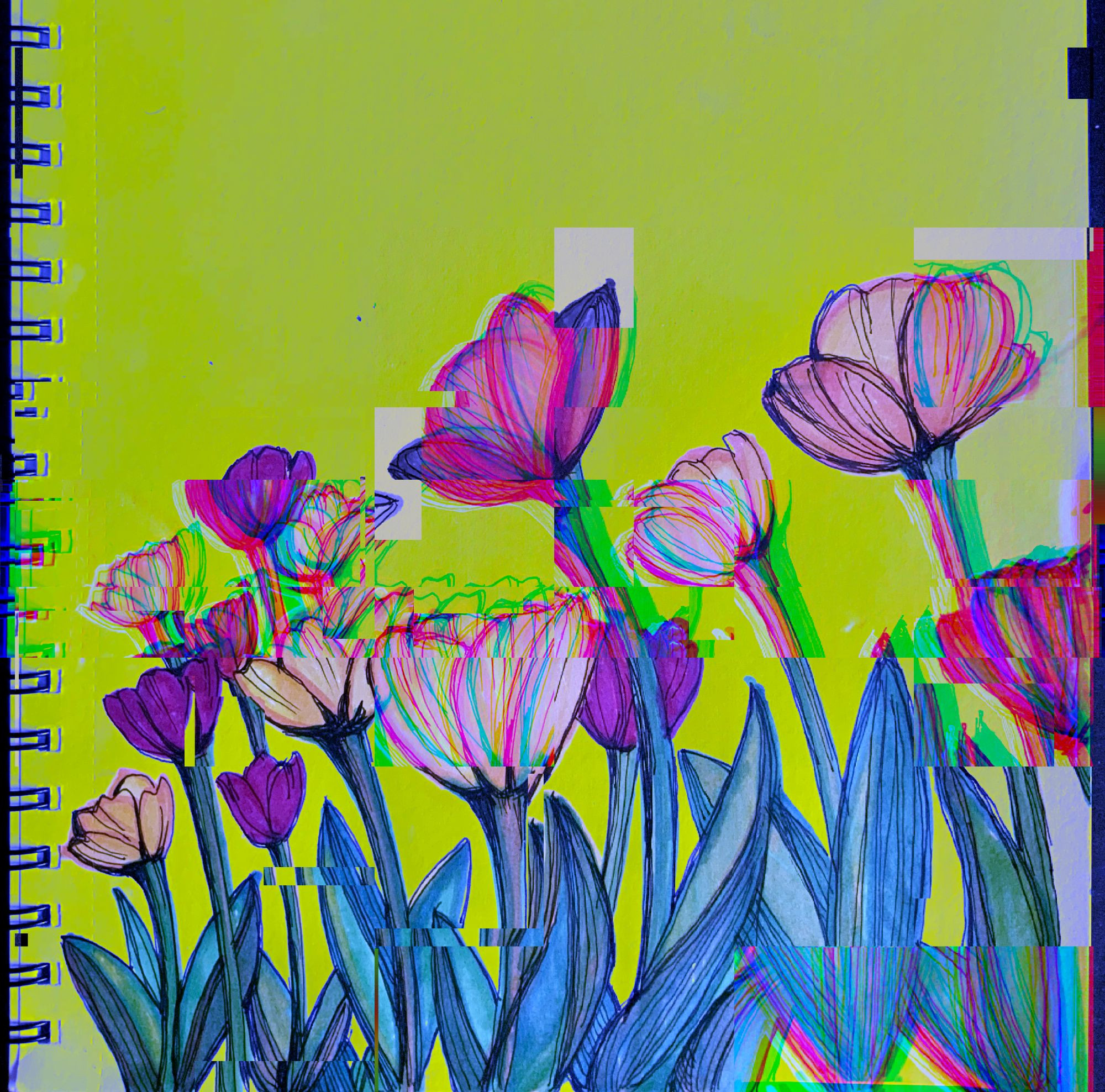 Digitally altered sketch. Pink tulips are growing amidst a neon yellow sky. They appear to be distorted by digital glitches.