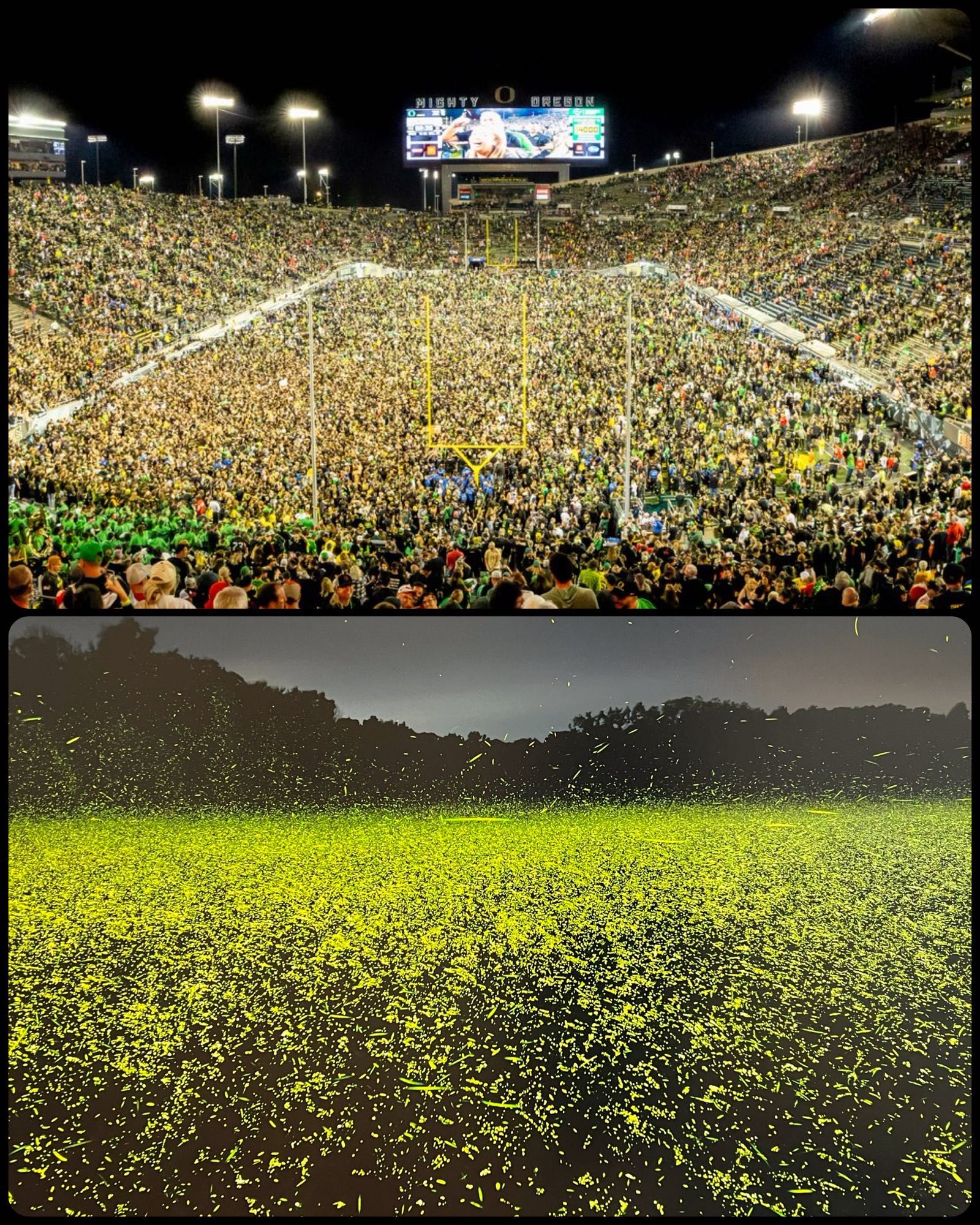 Oregon Football after beating Ohio State