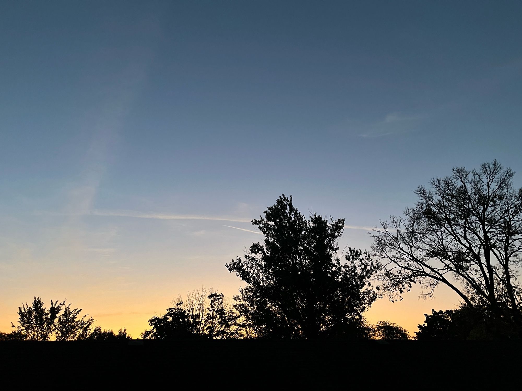 Streaks of pink, orange and yellow blur into a clear blue sky above a few trees, as the sun rises in Illinois.