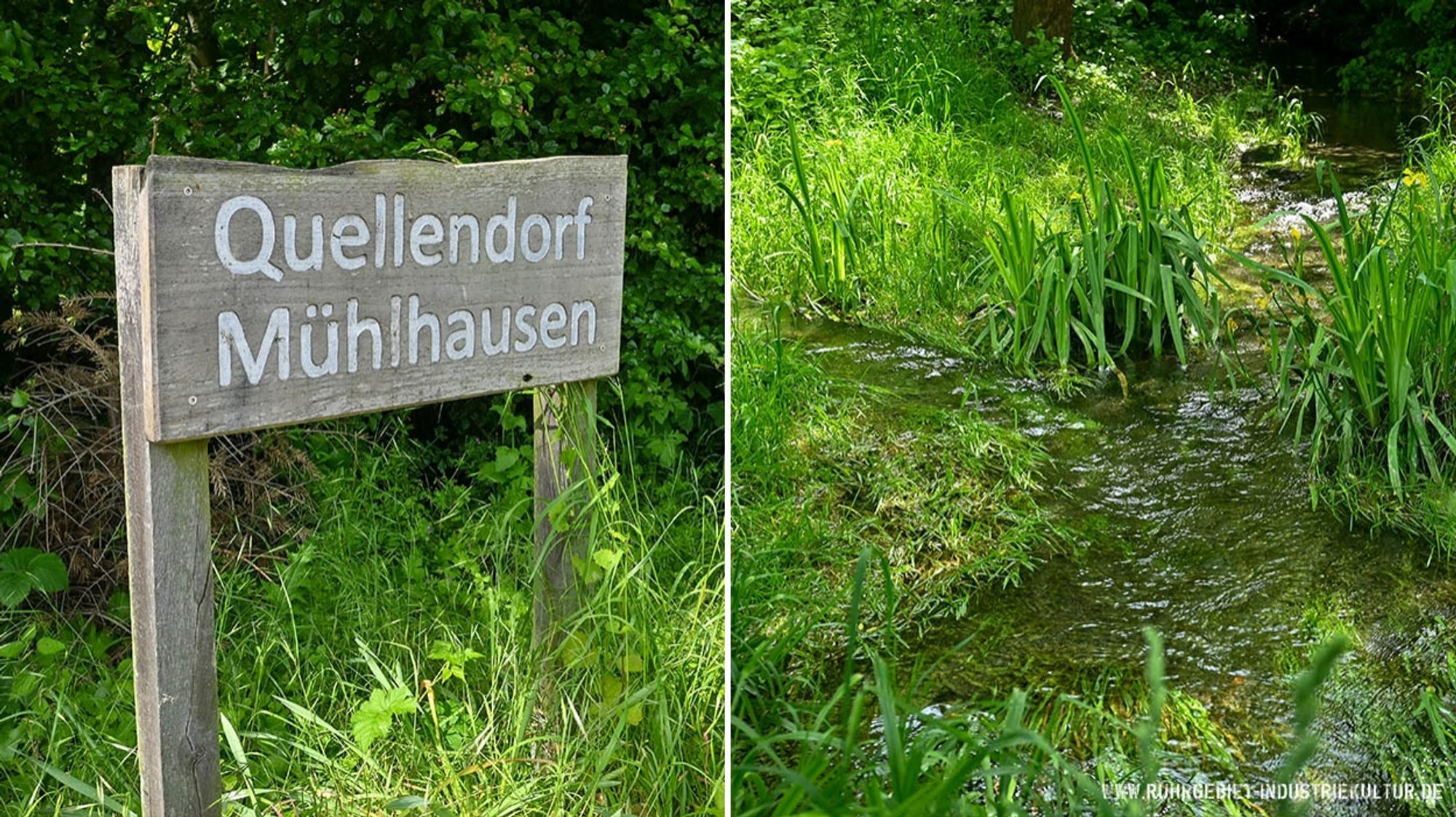 Zweigeteiltes Bild: Links eine Holztafel mit der Aufschrift Quellendorf Mühlhausen. Rechts zwei zusammenfließende saubere Bäche mit grünen Ufern