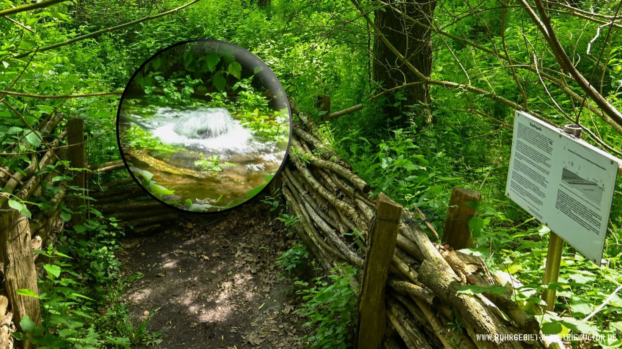 Blick auf eine Aussichtsplattform an einem Teich. In einer Ausschnittsvergrößerung ist eine Quelle zu sehen, die im Wasser sprudelt.