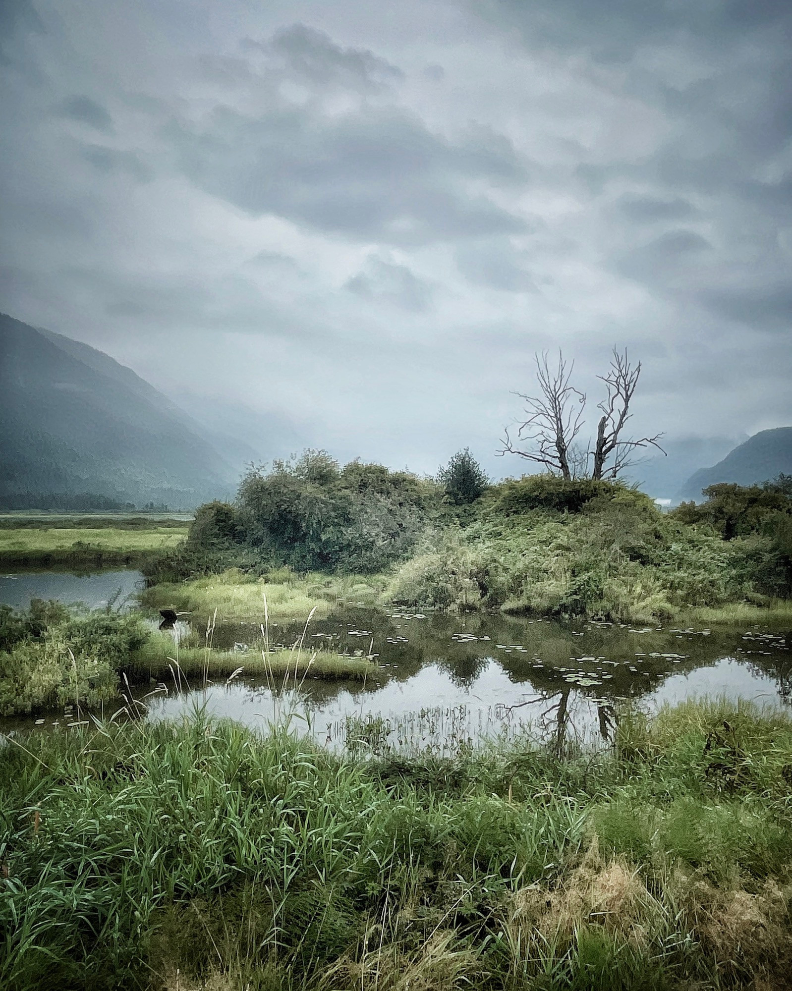 The vista is still full of shades of green!  The distant mountains are hiding as the forthcoming rains are approaching. 