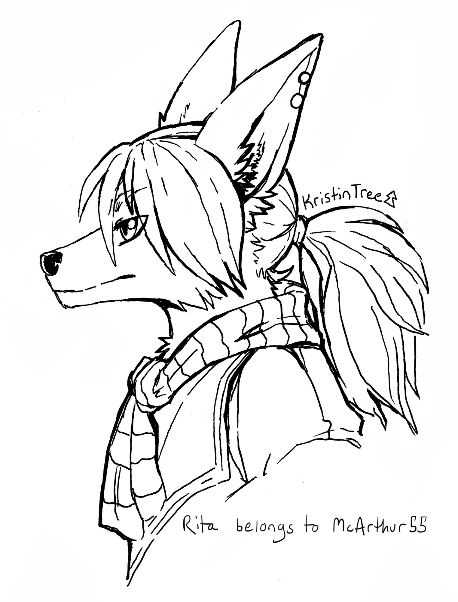 [Image 2] A simple pen drawing of Rita (a fox anthro) in profile. She has long ears and a ponytail.