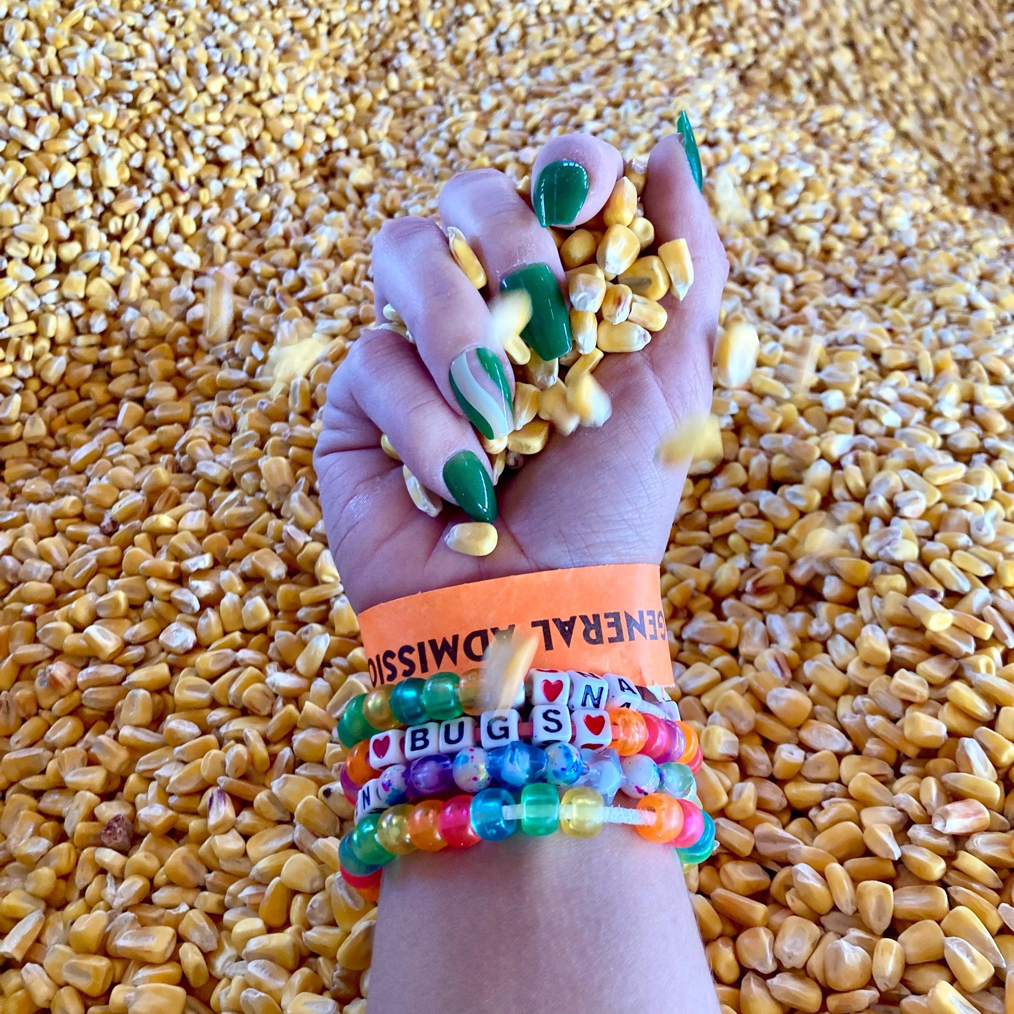 handful of corn kernels, wearing colorful pony bead bracelets in a sea of corn