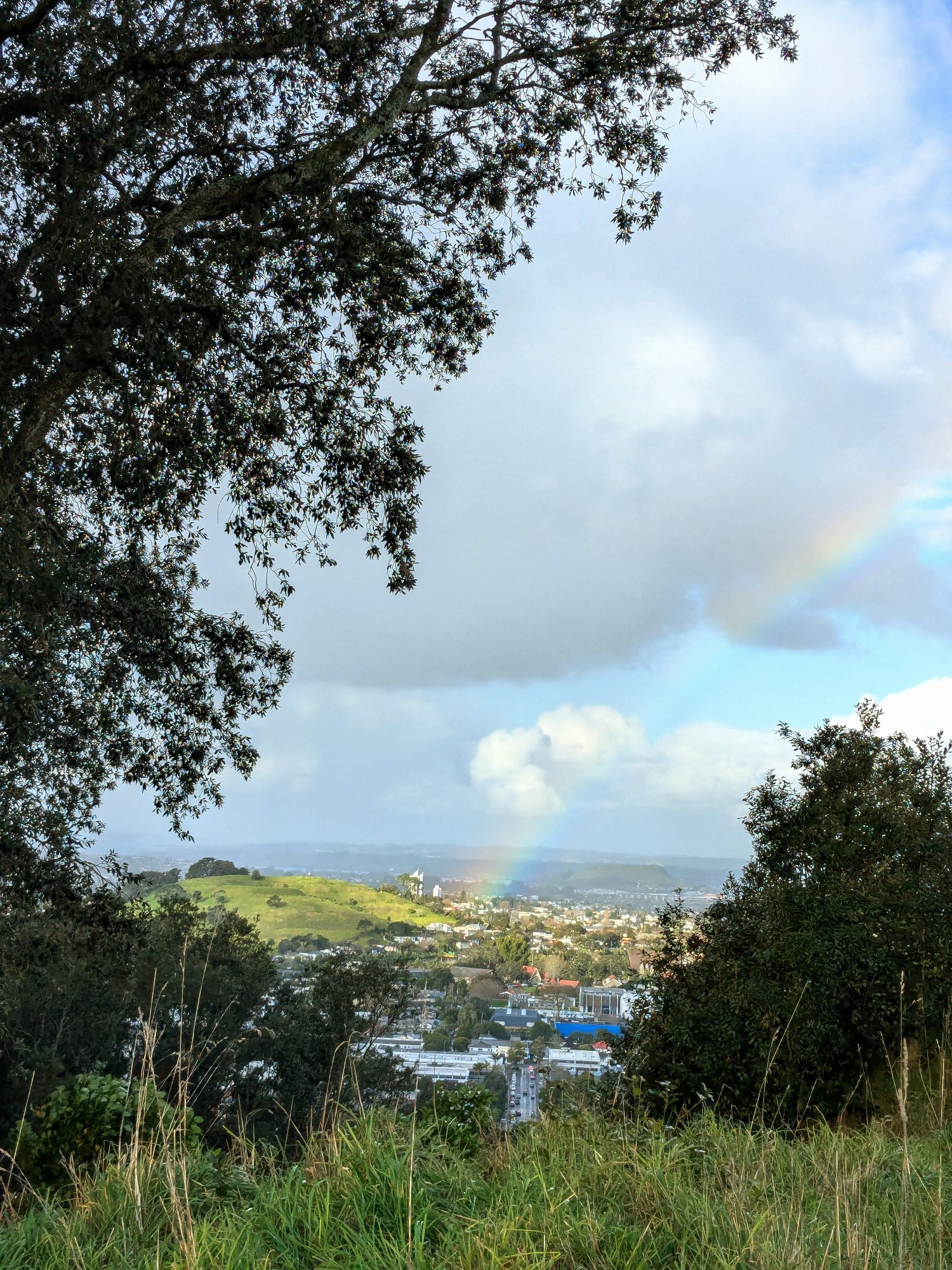 A view through trees of a rainbow connecting with glowing suburban land.