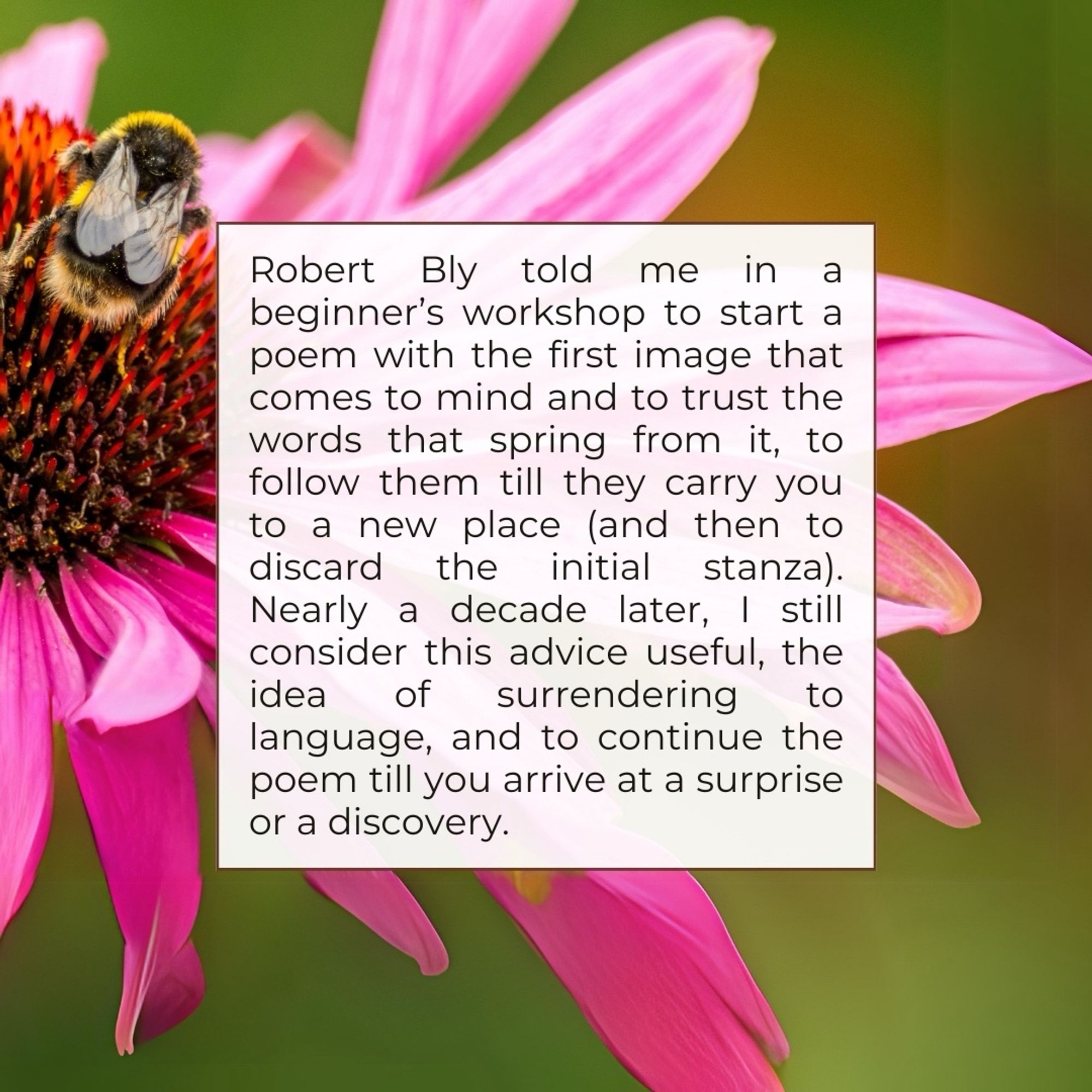 Robert Bly told me in a beginner's workshop to start a poem with the first image that comes to mind and to trust the words that spring from it, to follow them till they carry you to a new place (and then to discard the initial stanza).
Nearly a decade later, I still consider this advice useful, the idea of surrendering to language, and to continue the poem till you arrive at a surprise or a discovery.