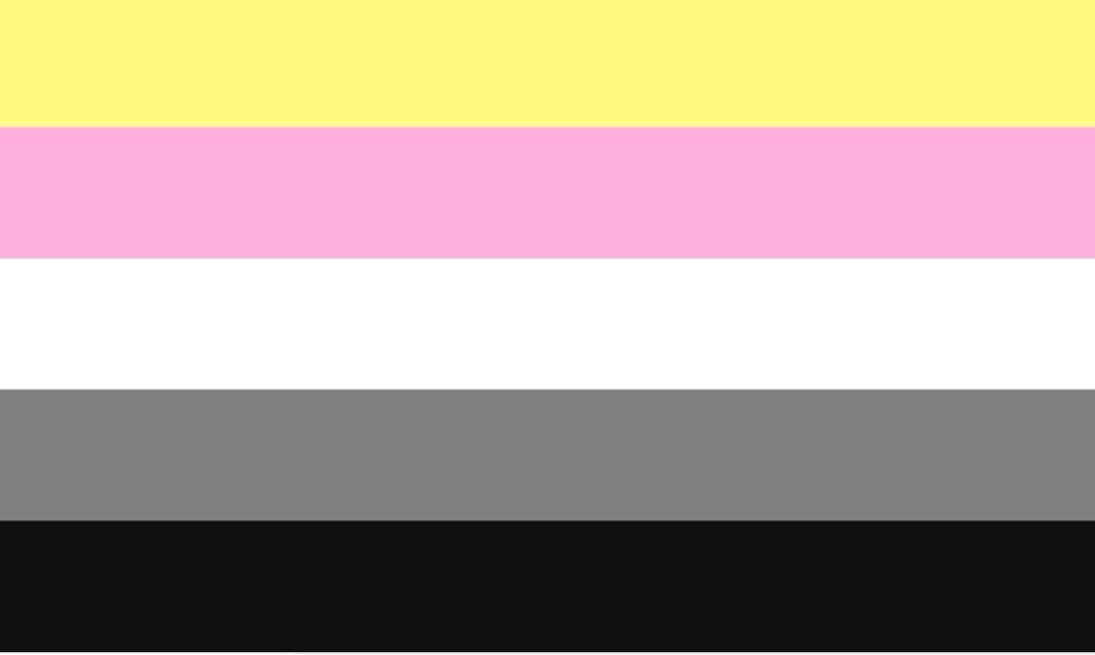 Imagem da bandeira do relacionamento queerplatônico, composta por cinco faixas horizontais nas cores amarelo, rosa, branco, cinza e preto.