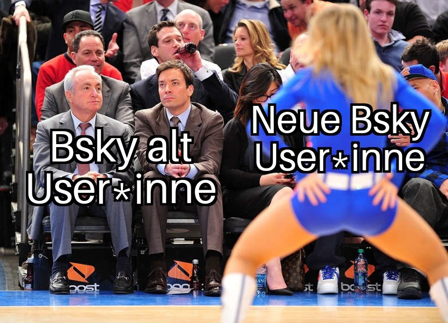 Eine Cheerleaderin tanzt bei einem Basketball Spiel Personen in der ersten Reihe schauen gelangweilt in andere Richtungen