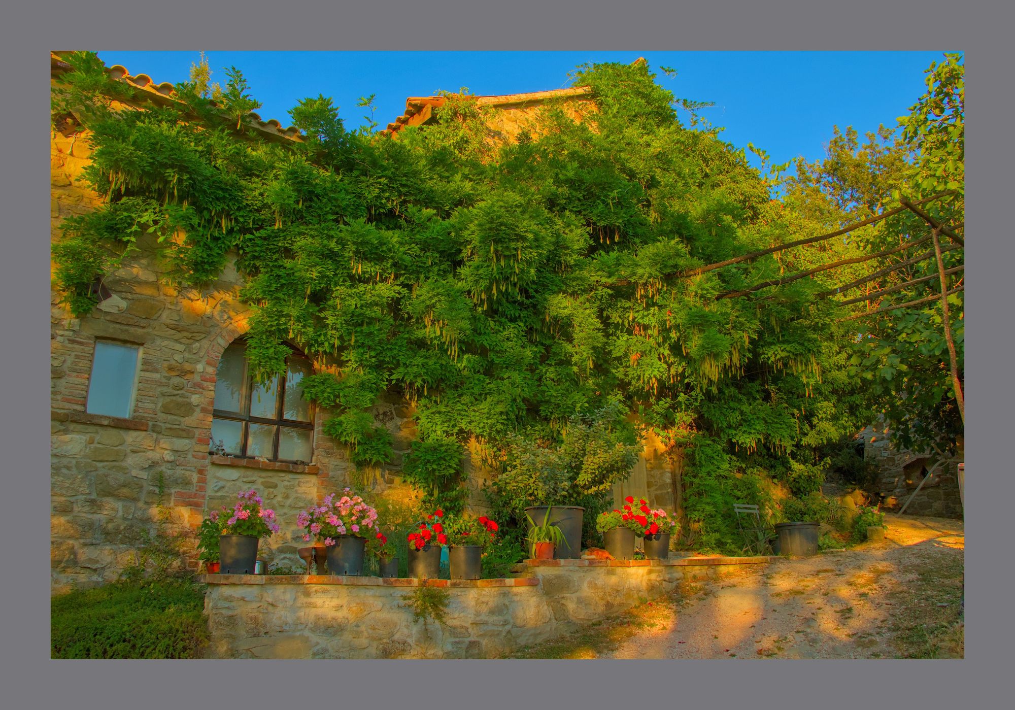 a stone house covered in vegetation sits under a blue sky with pink and red geraniums lined up in front of it