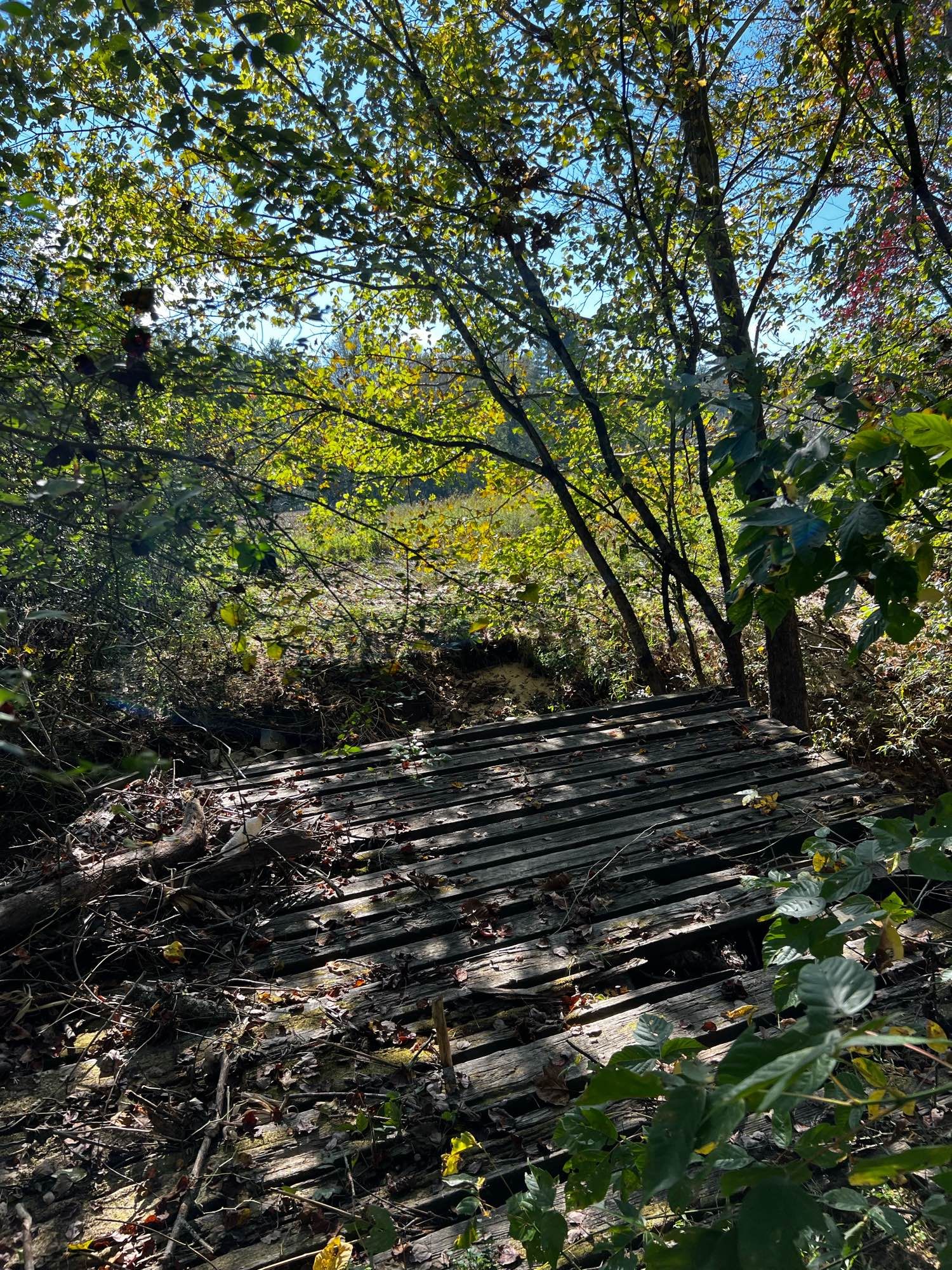 Wooden bridge that has been collapsed by flooding from hurricane Helene.