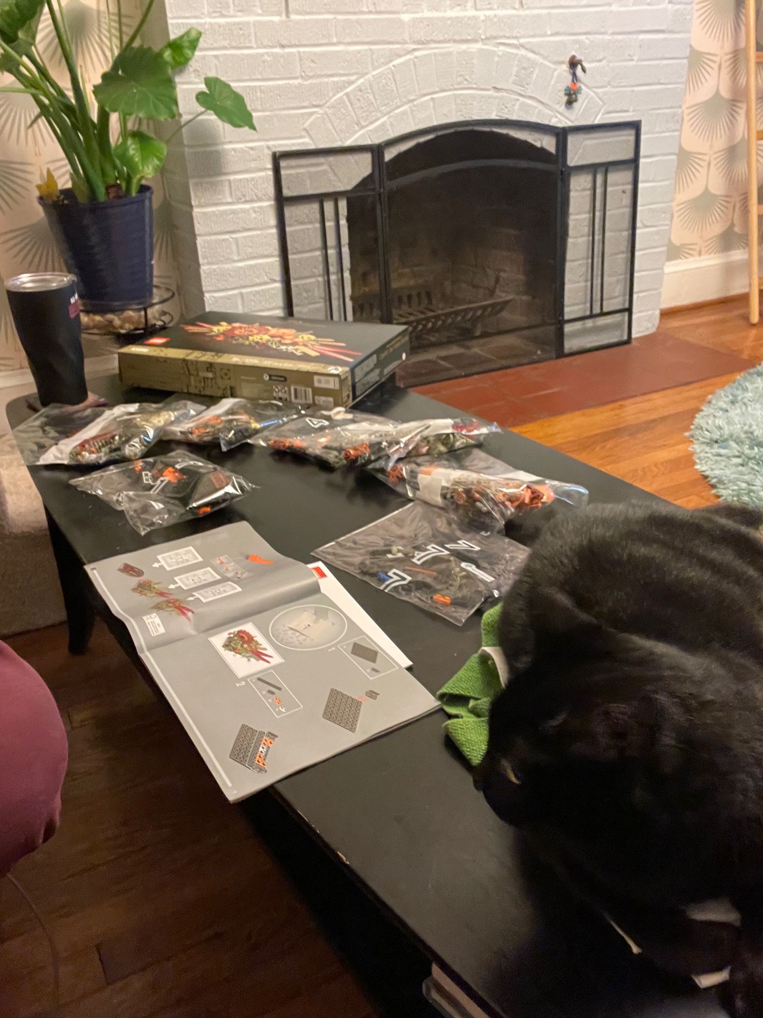 Cat and Lego set on a table