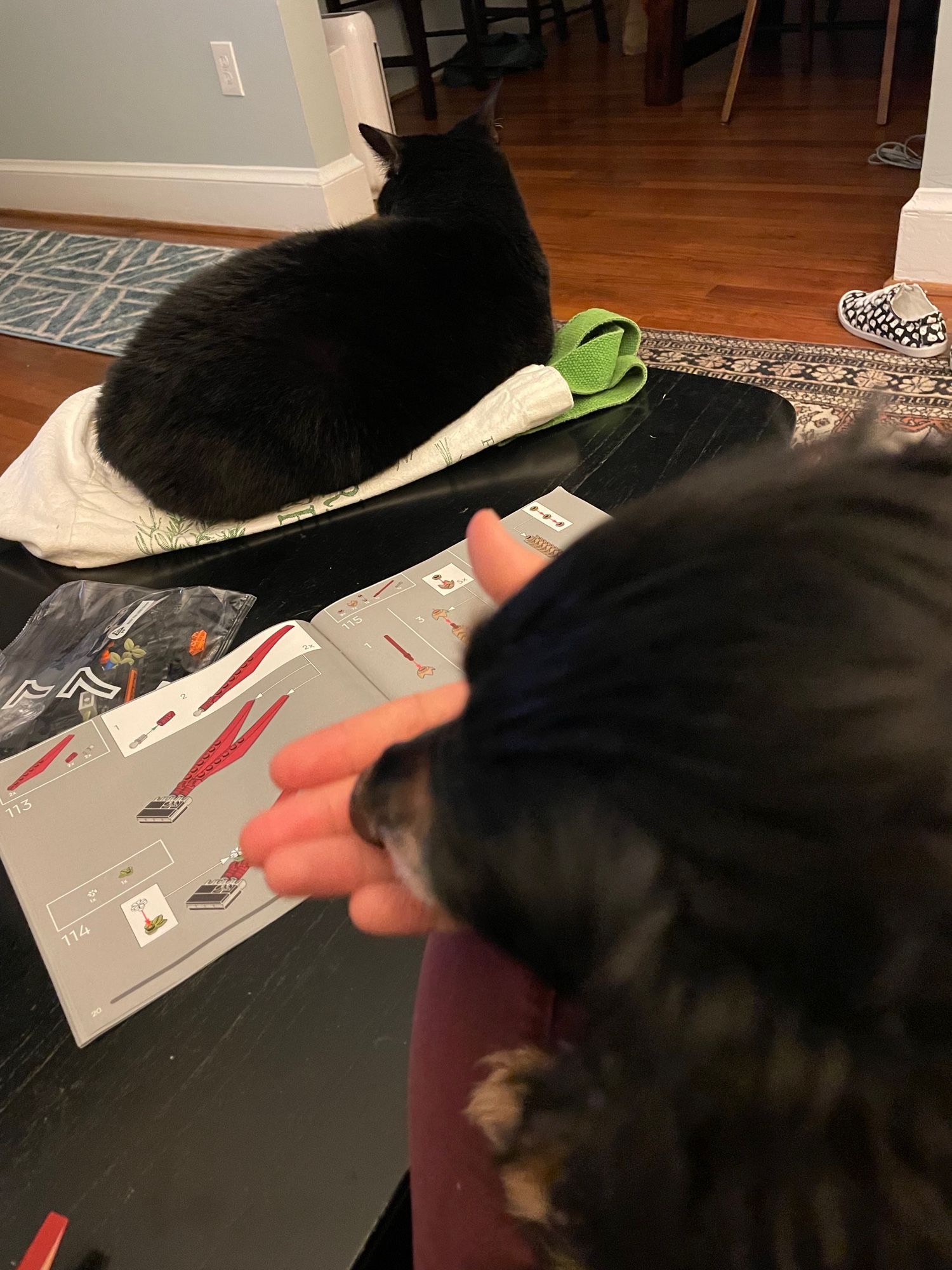 Dog cleaning hand with cat on a table