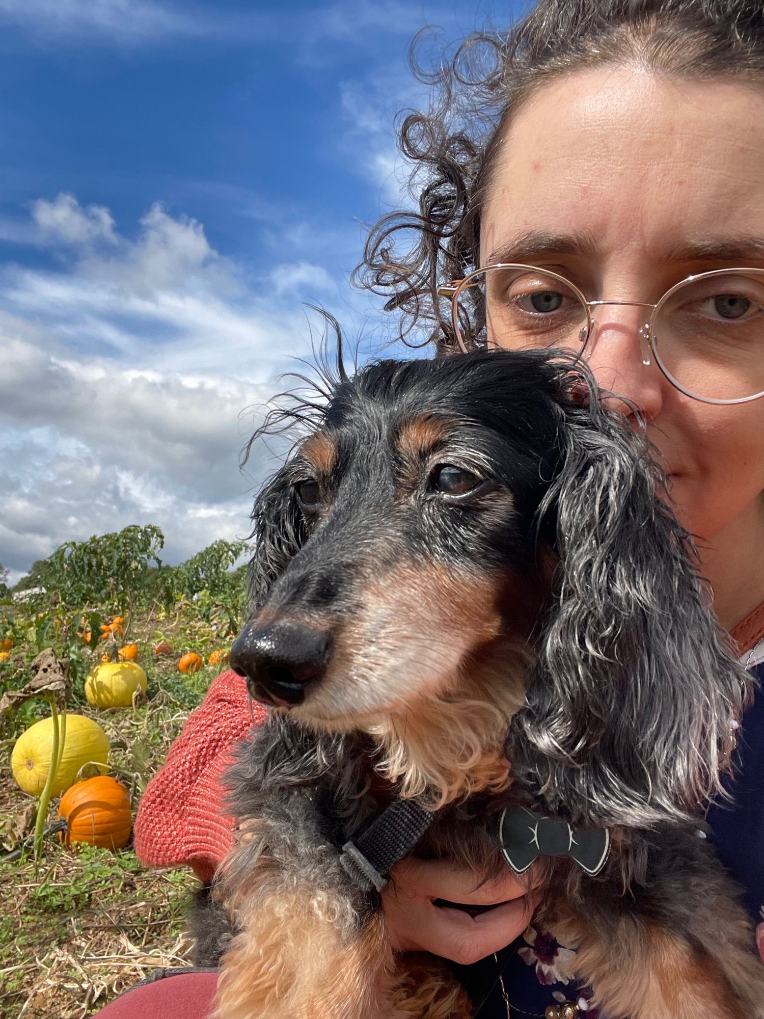 Laura and Pan in a pumpkin patch