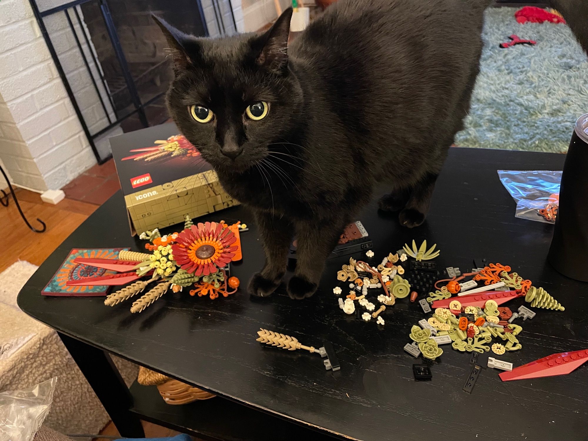 Cat interrupting Lego making