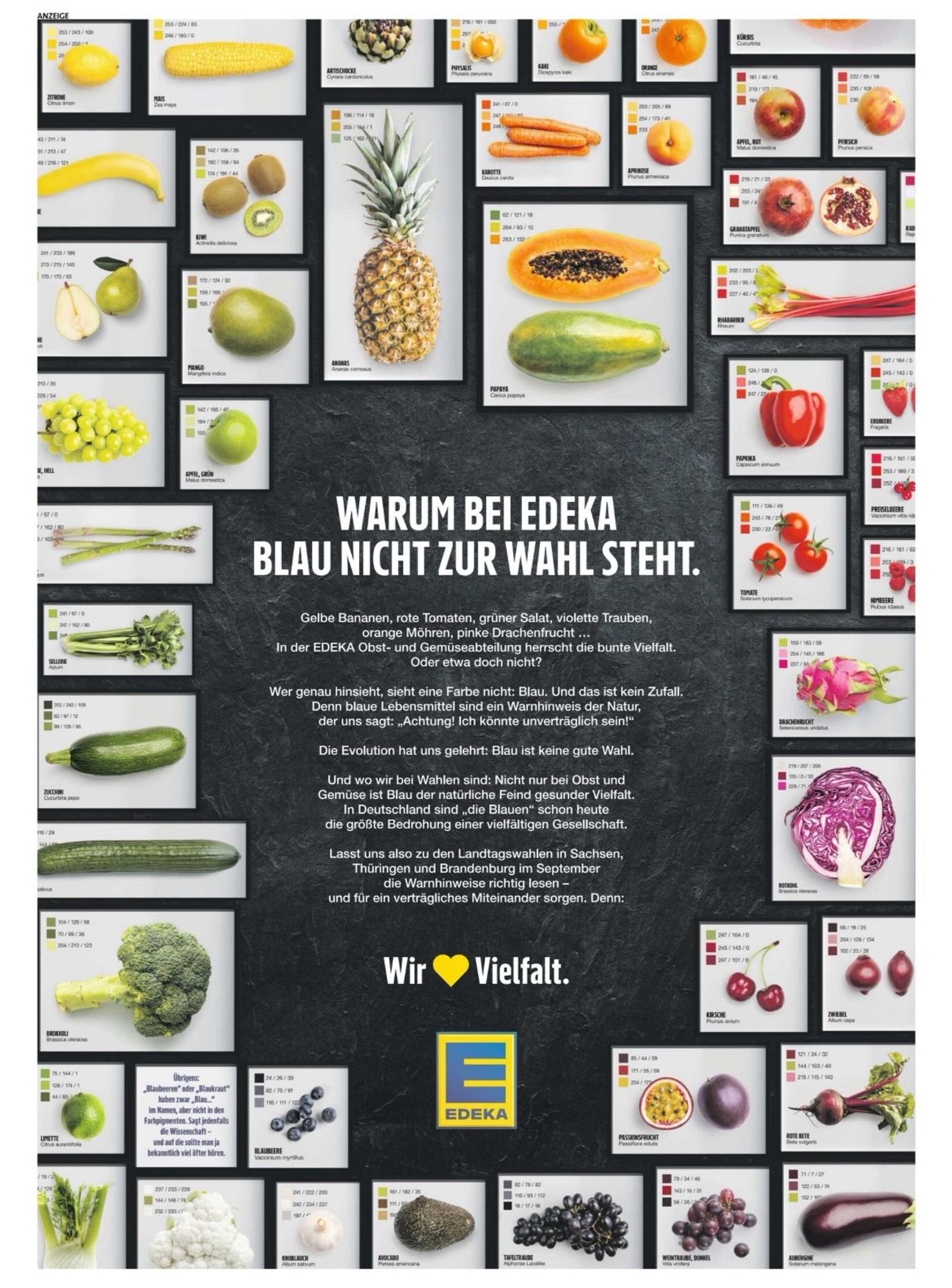 Buntes Obst und Gemüse. Text von Edeka dazu, warum Blau bei ihnen nicht zur Wahl steht. Edeka steht für Vielfalt.