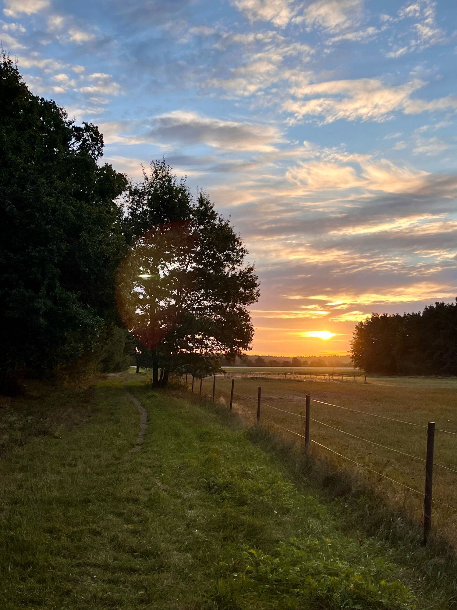 Sonnenaufgang über Feldern. Wald, Feldweg, einzelner Baum. Sonne kämpft sich durch Wolken.