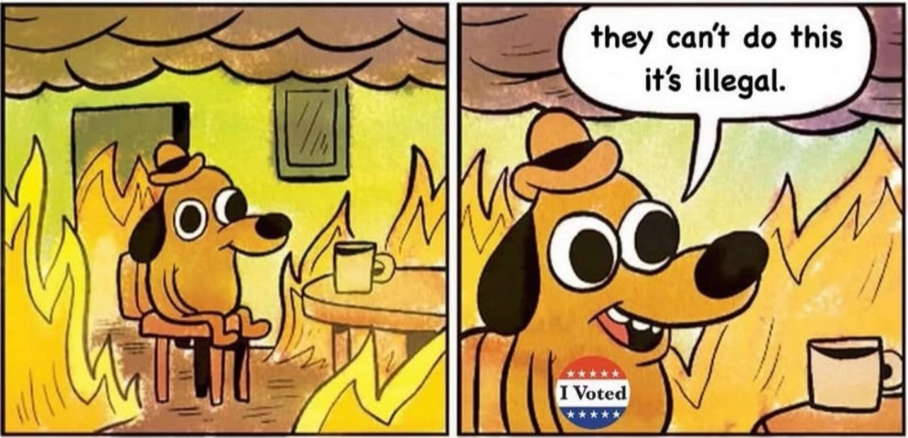 This is fine dog meme except the dog is saying “they can’t do this it’s illegal” and has an “I voted” sticker