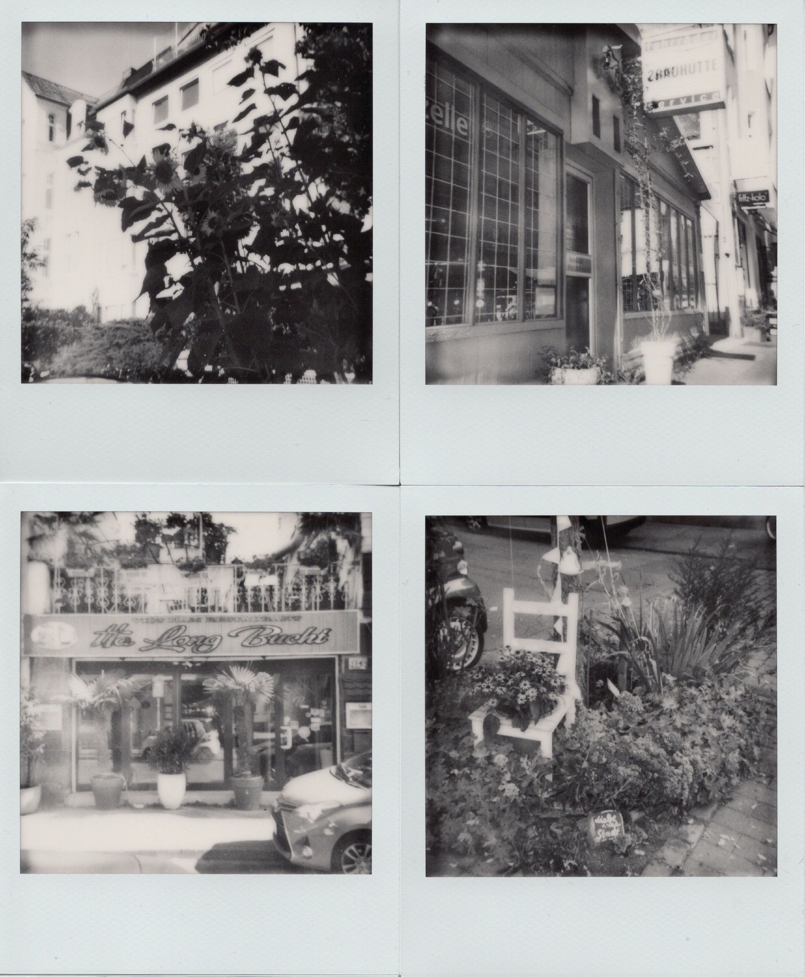 Four b/w Polaroids
-Tall sunflowers on the side of a road with a white building further behind
-a small bike repair shop with metal grid bars behind the windows shot from the side
- frontal shot of a vietnamese restaurant and its roof terrace. Small potted palmtrees are lined in front of it
-a chair with a flower pot set inside standing inside a small patch of green(grey) at the side of a street. There's also a small painted stone beneath saying "love your city"