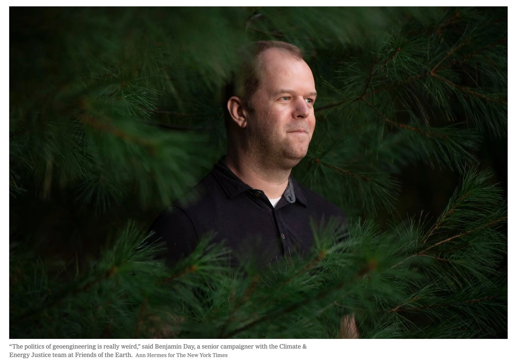 NYT photo of a member of Friends of the Earth standing inside a pine tree