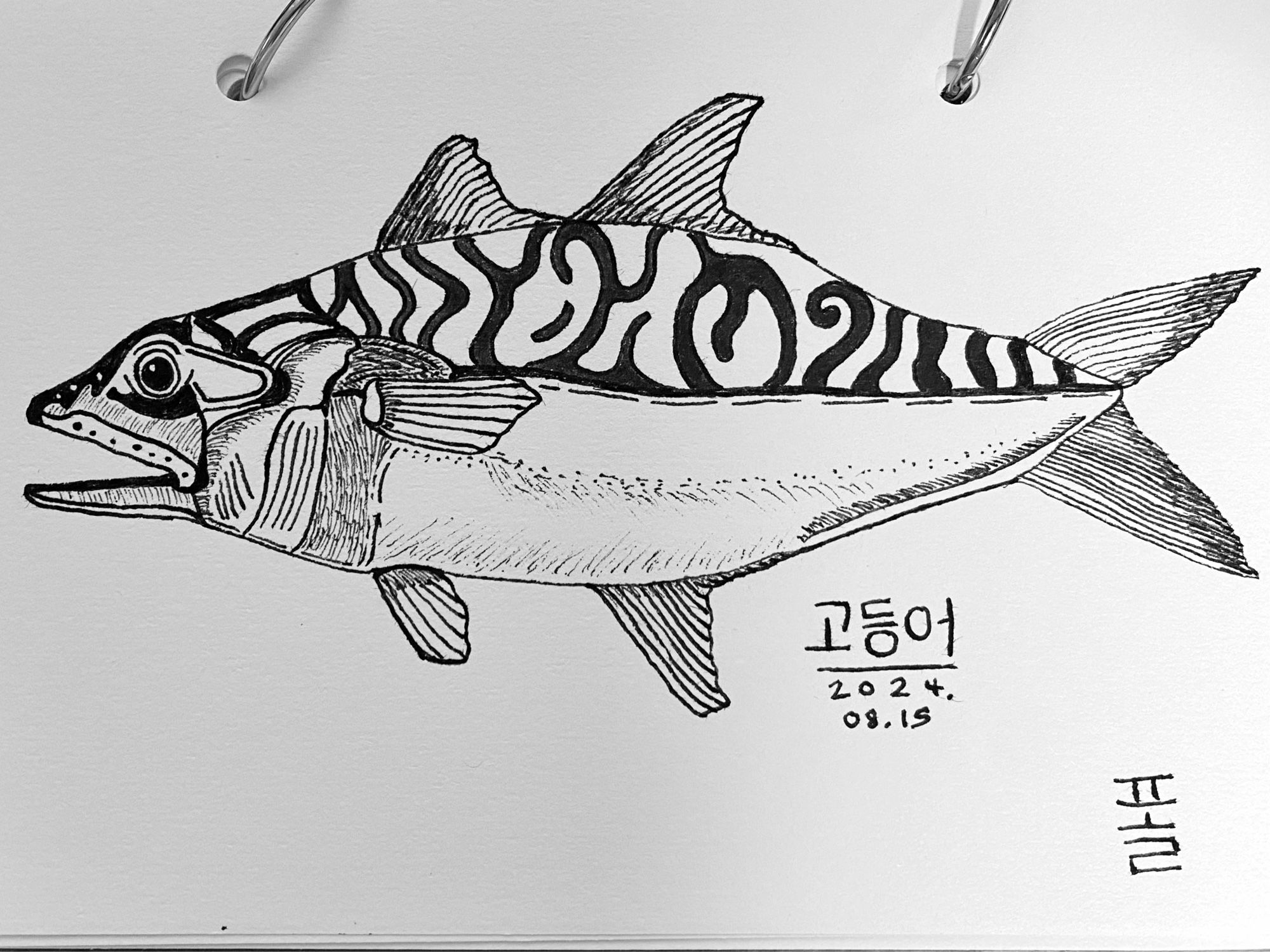 A fountain pen drawing of a Korean mackerel.