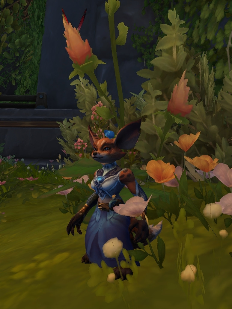 A screenshot from a game called World of Warcraft: an orange female vulpera in a beautiful blue outfit, standing by orange flowers.