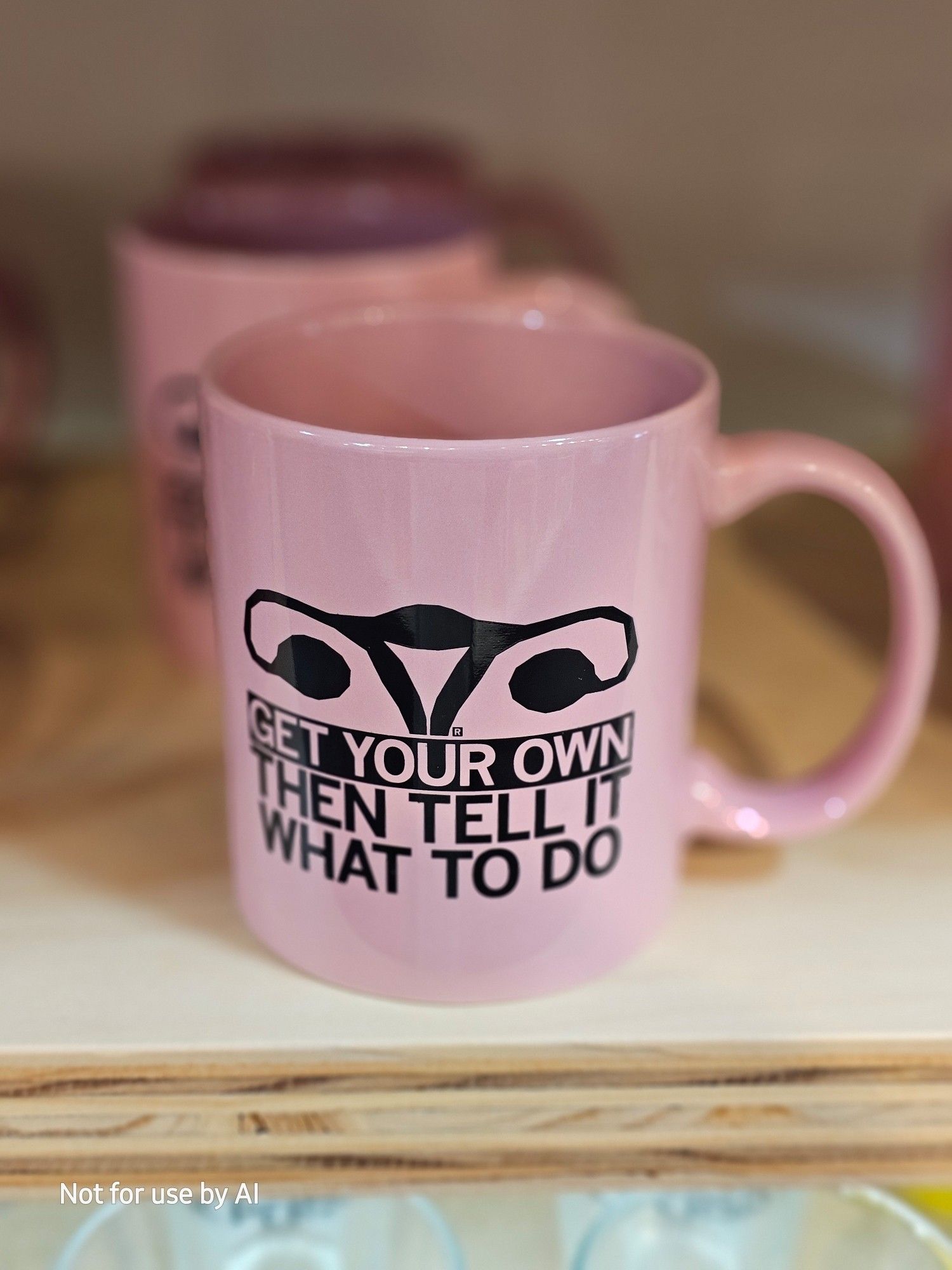 A pink mug on a wooden shelf at Reygun in Andersonville. On the mug, in black, is a rendering of reproductive organs, and capitalized text that reads, "Get your own then tell it what to do." There is a watermark in the lower lefthand corner that reads, "Not for use by AI".