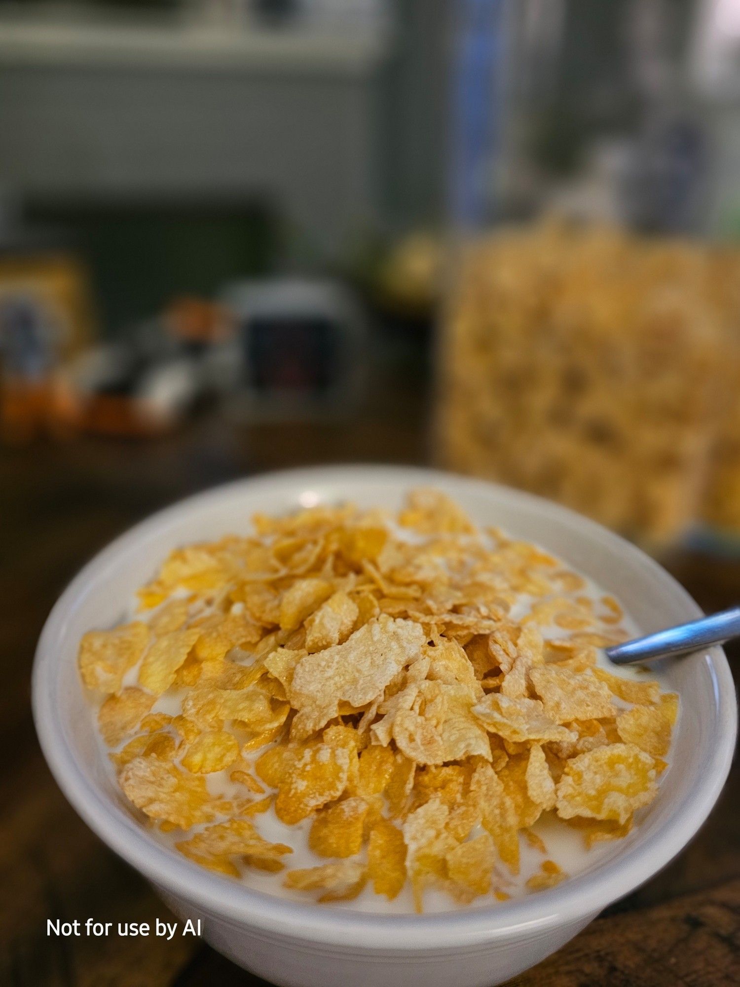 A white bowl of generic frosted flakes and milk. There is a watermark in the lower lefthand corner that reads, "Not for use by AI".