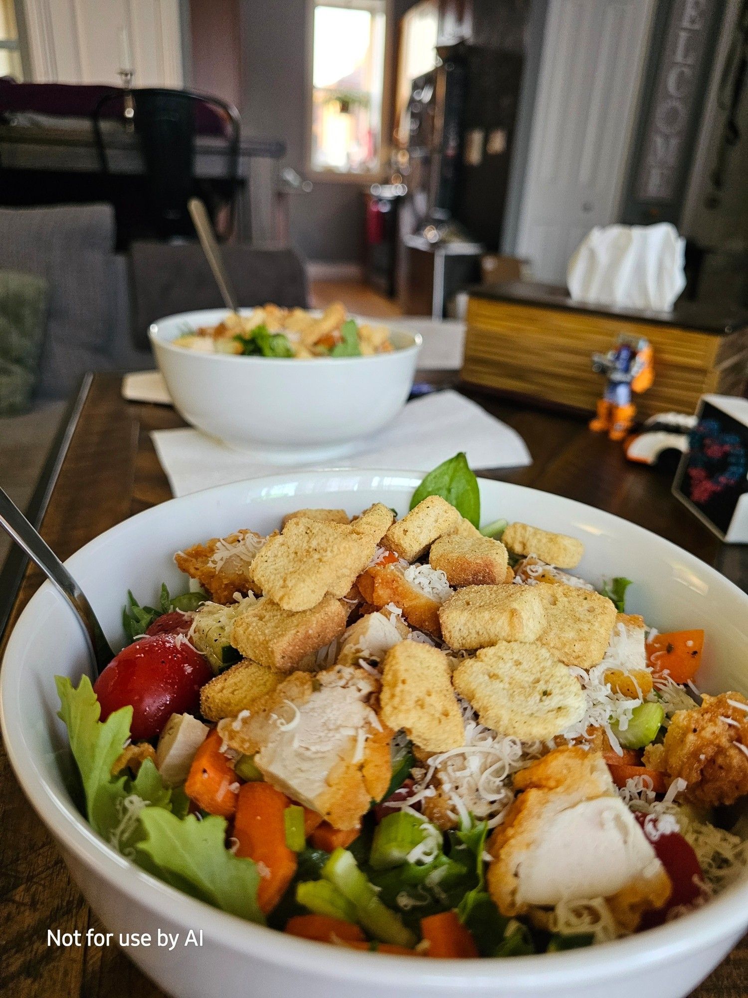 Two very large white bowls full of chicken salads. There is a watermark in the lower lefthand corner that reads, "Not for use by AI".