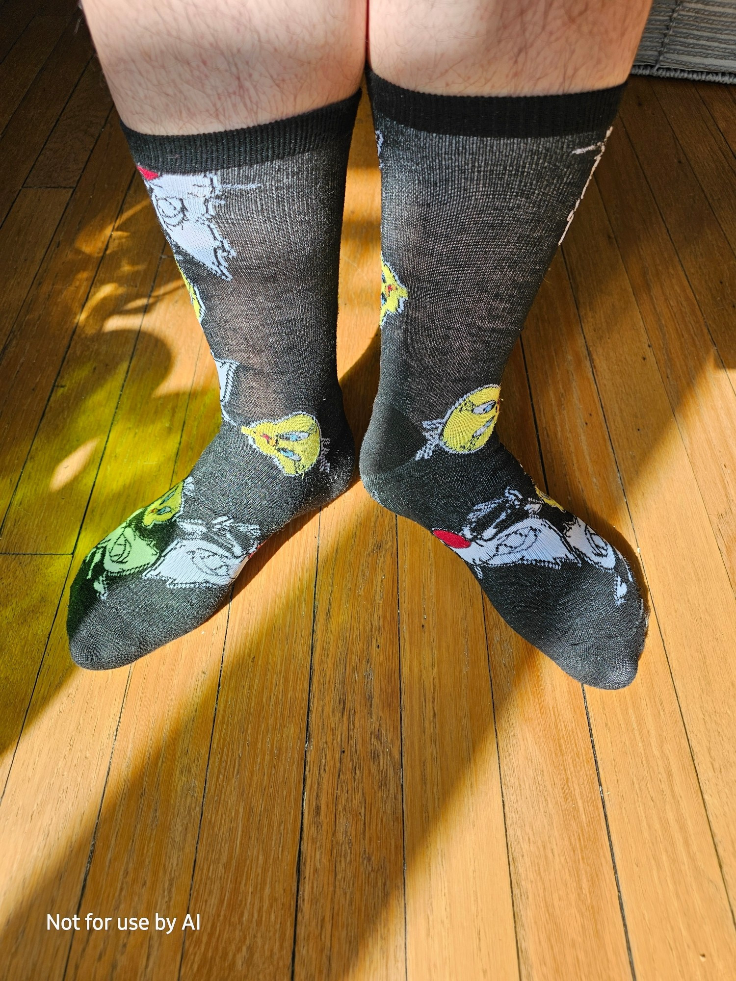 Me in black socks with Sylvester and Tweety Bird on them. I am standing heels together, feet spread. There is a watermark in the lower lefthand corner that reads, "Not for use by AI".