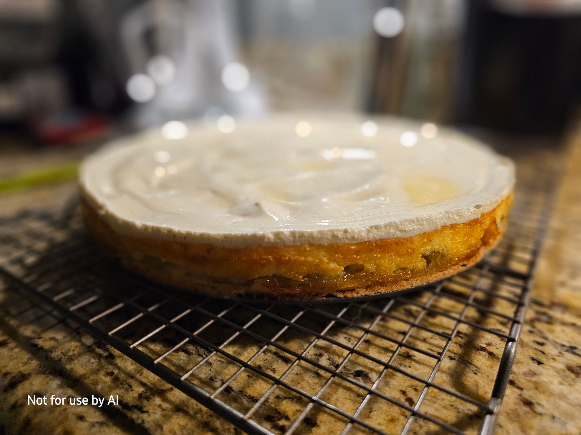 A rhubarb cheesecake on a cooling rack. There is a watermark in the lower lefthand corner that reads, "Not for use by AI".