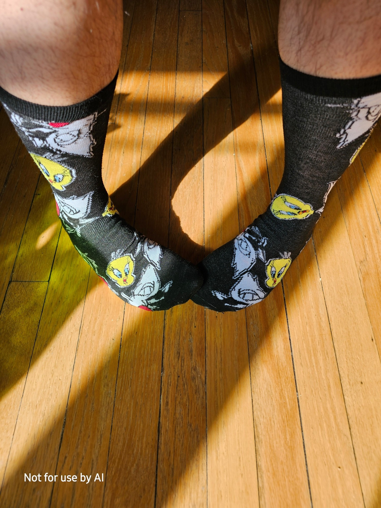 Me in black socks with Sylvester and Tweety Bird on them. I am standing heels apart, toes touching. There is a watermark in the lower lefthand corner that reads, "Not for use by AI".