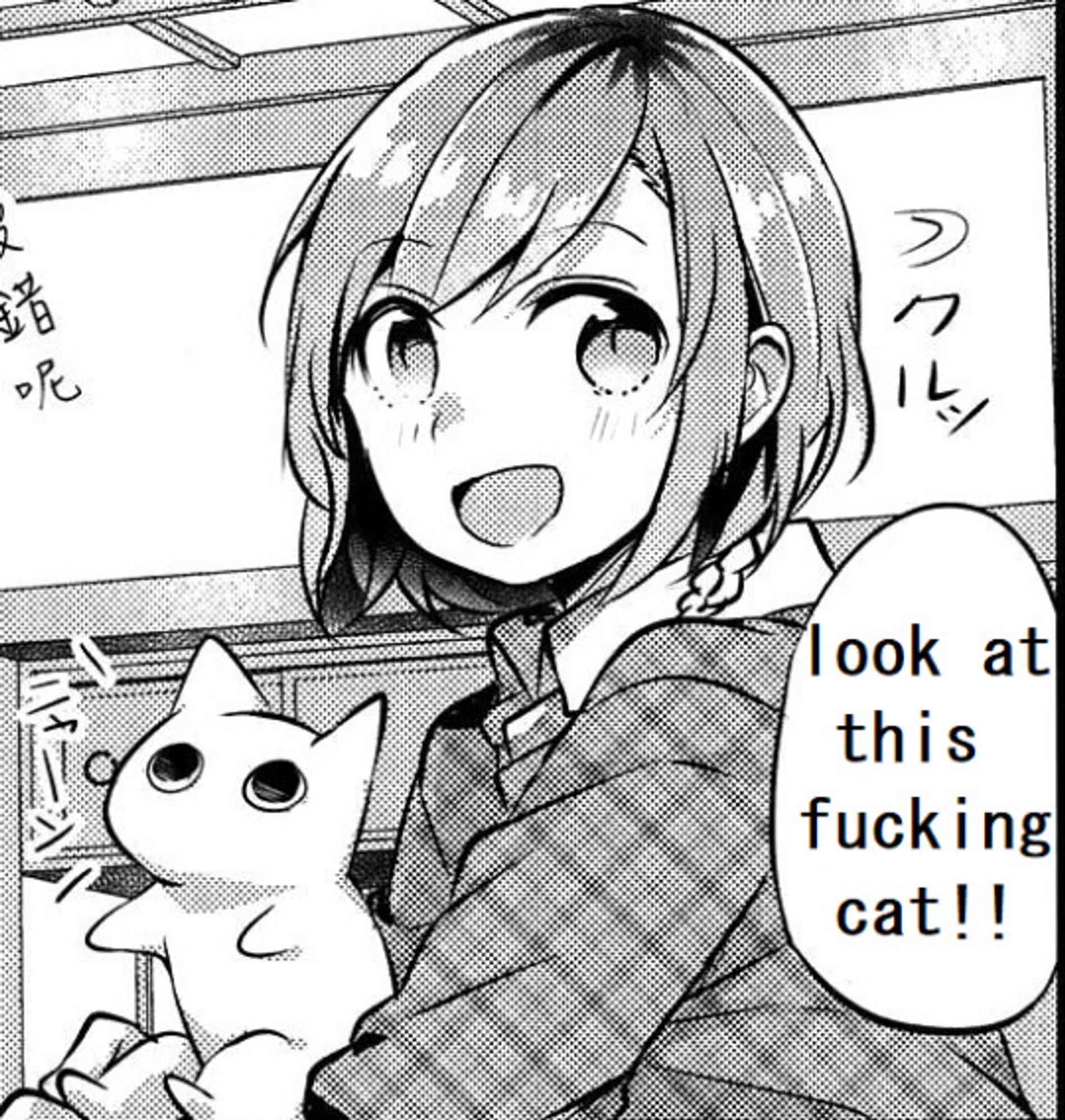 hina hikawa holding a stuffed cat. text: "look at this fucking cat!!"